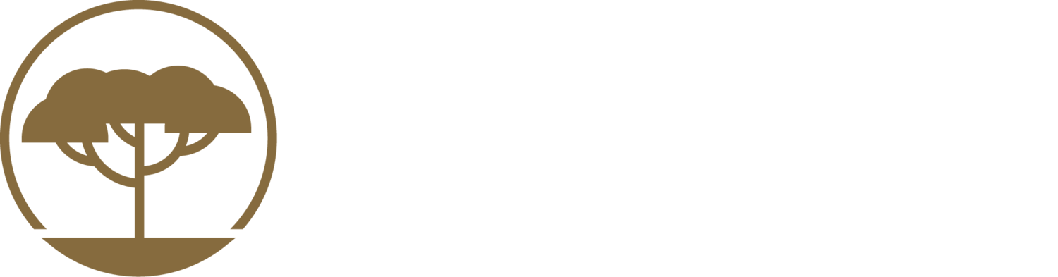 Avalon Energy