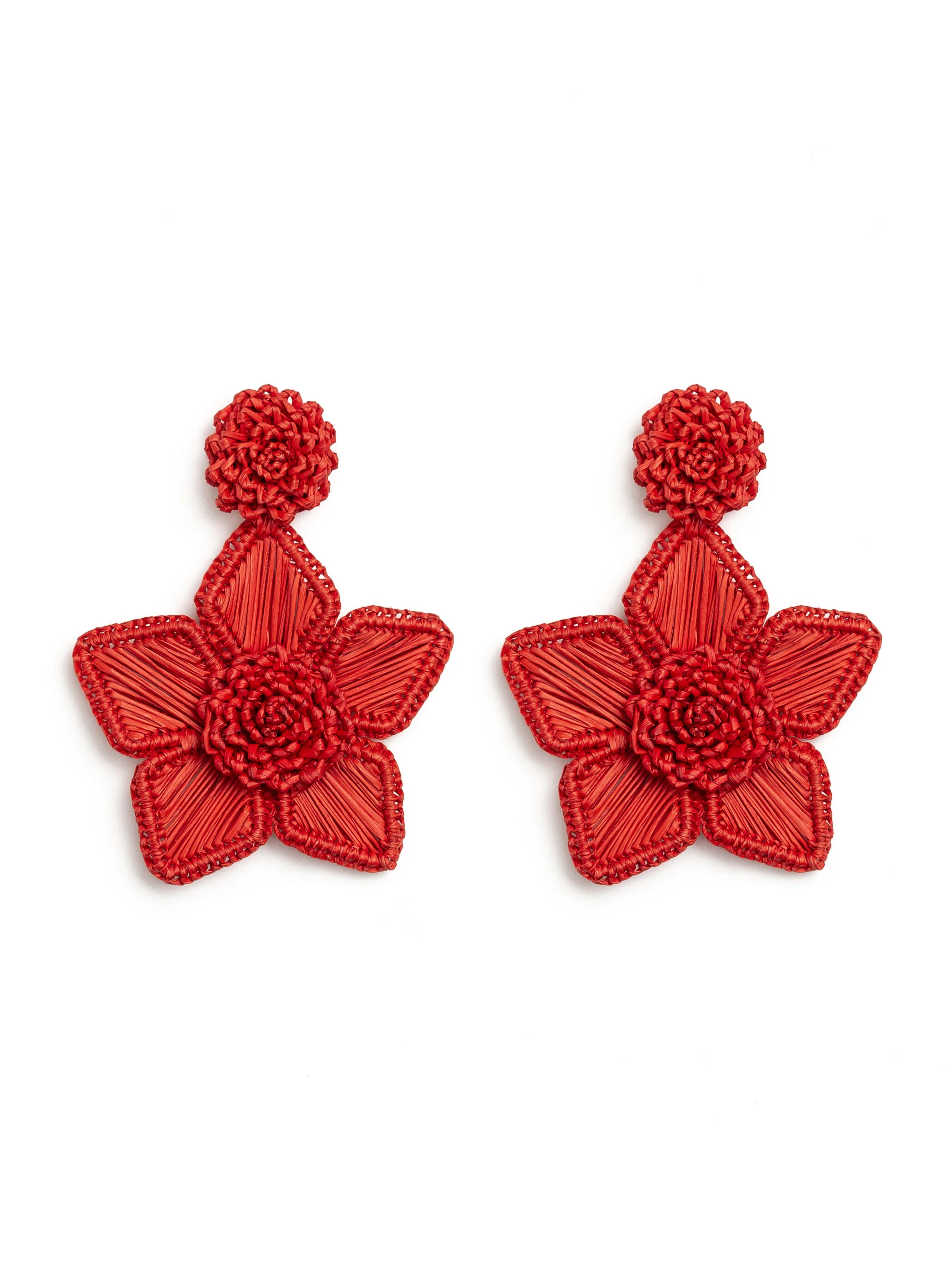 PavaReal-89 copia.jpg