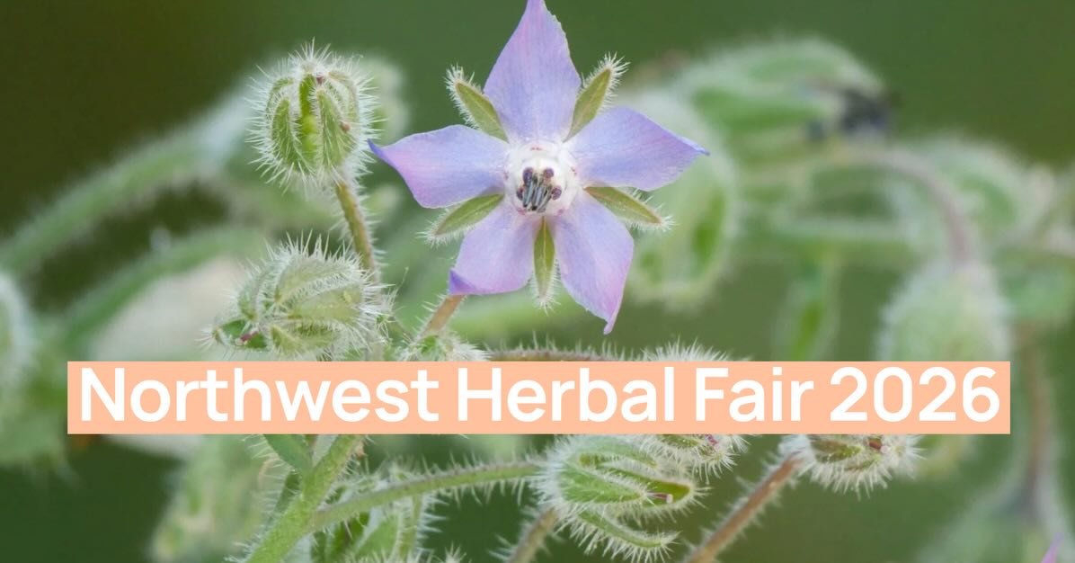 Hi friends!  We are so excited to announce..
NWHF 2026 Aug 23rd, Sunday
Location: @finnriver Cidery in Chimacum, Washington

A Special One-Day Gathering
The Northwest Herbal Fair has traditionally been a full weekend event. This year we&rsquo;re keep