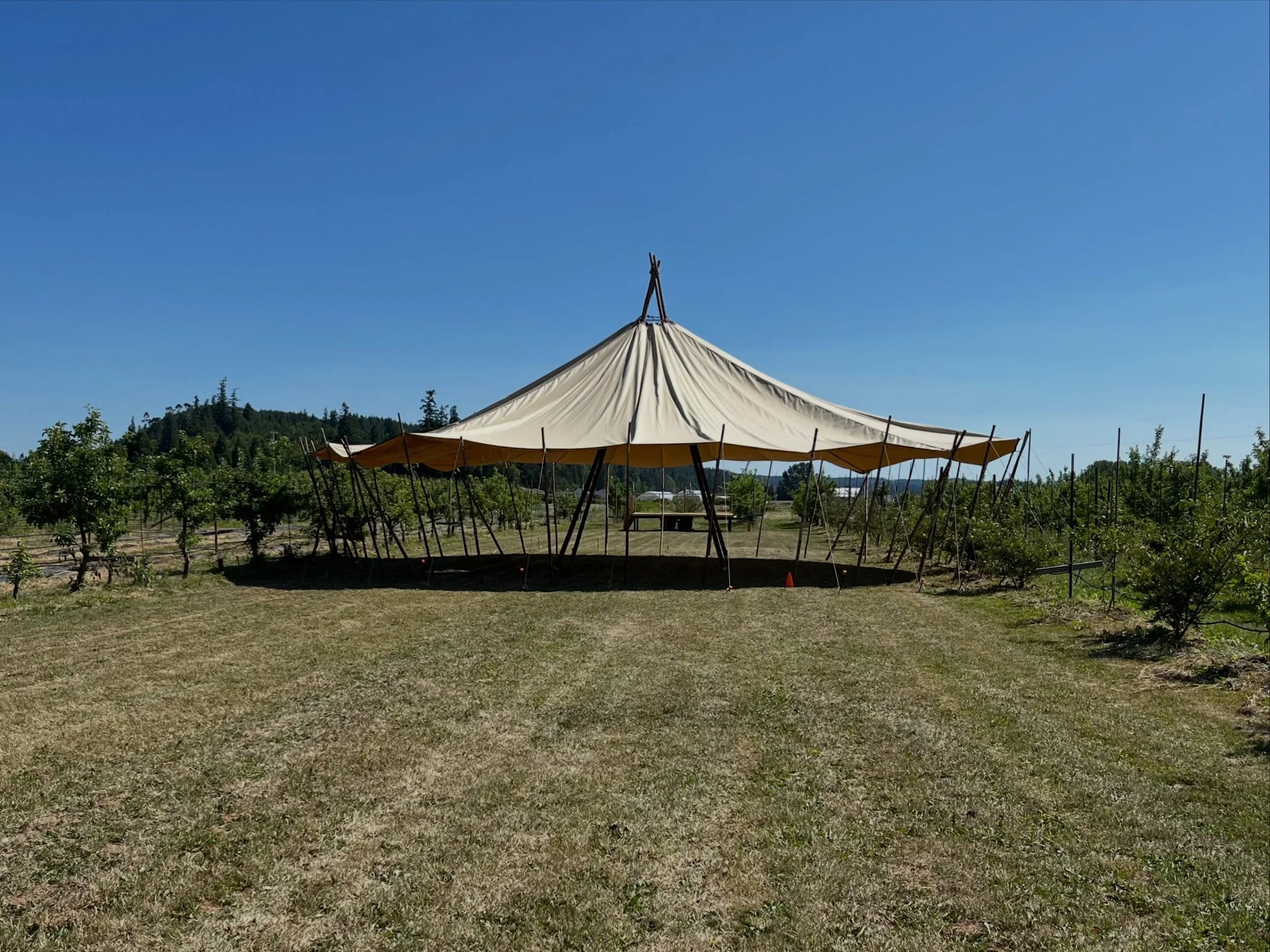 Some of the gathering this Sunday will be happening in a new area at finnriver, nestled in the orchard amongst the apple trees.  Here&rsquo;s a glimpse of the skylodge where lots of connections will happen!