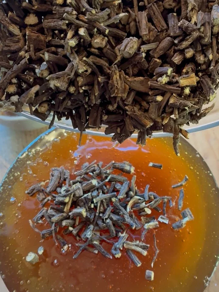 Osha root honey will be available for purchase at the fair. Next to the Friends of the trees booth with Ramble Botanicals. Harvested in the Cascade Mountains!