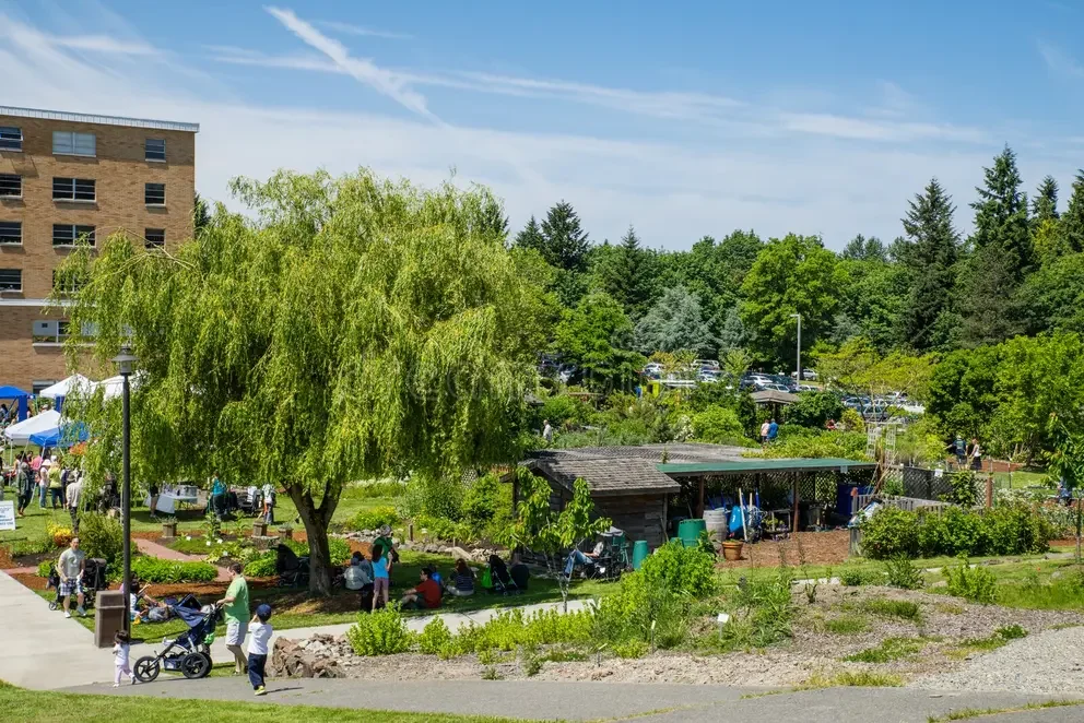 bastyr-university-herb-food-fair-view-campus-garden-botanical-next-to-event-area-41882578.webp