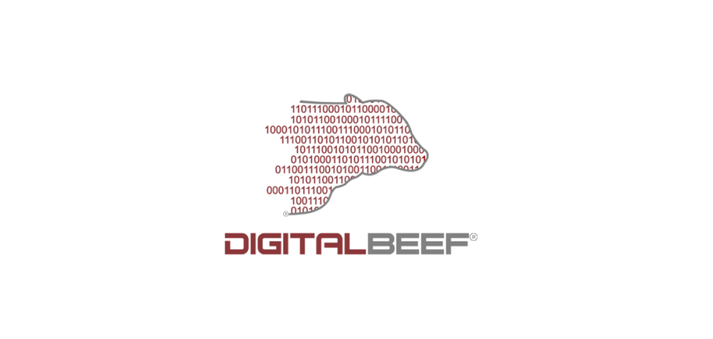 Digital Beef.png