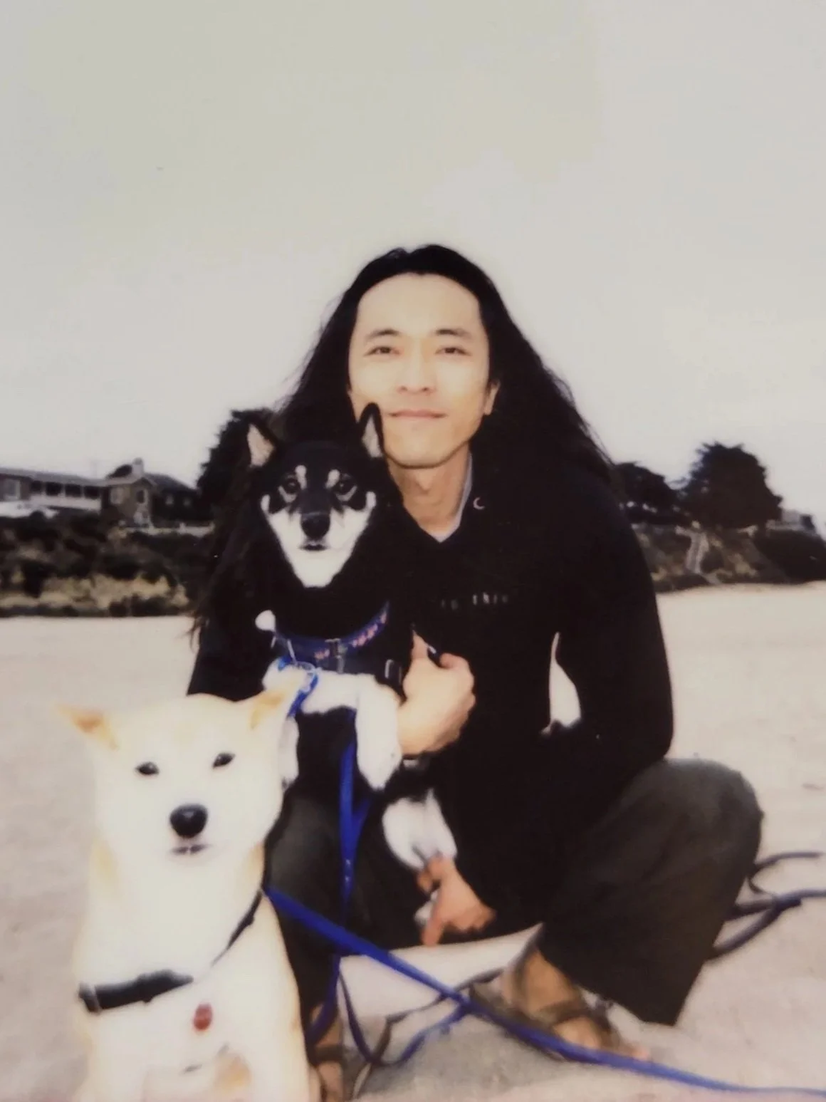 A picture of Shumpei Maruyama sitting on a beach with his two Shiba Inus, one is orange, one is black.