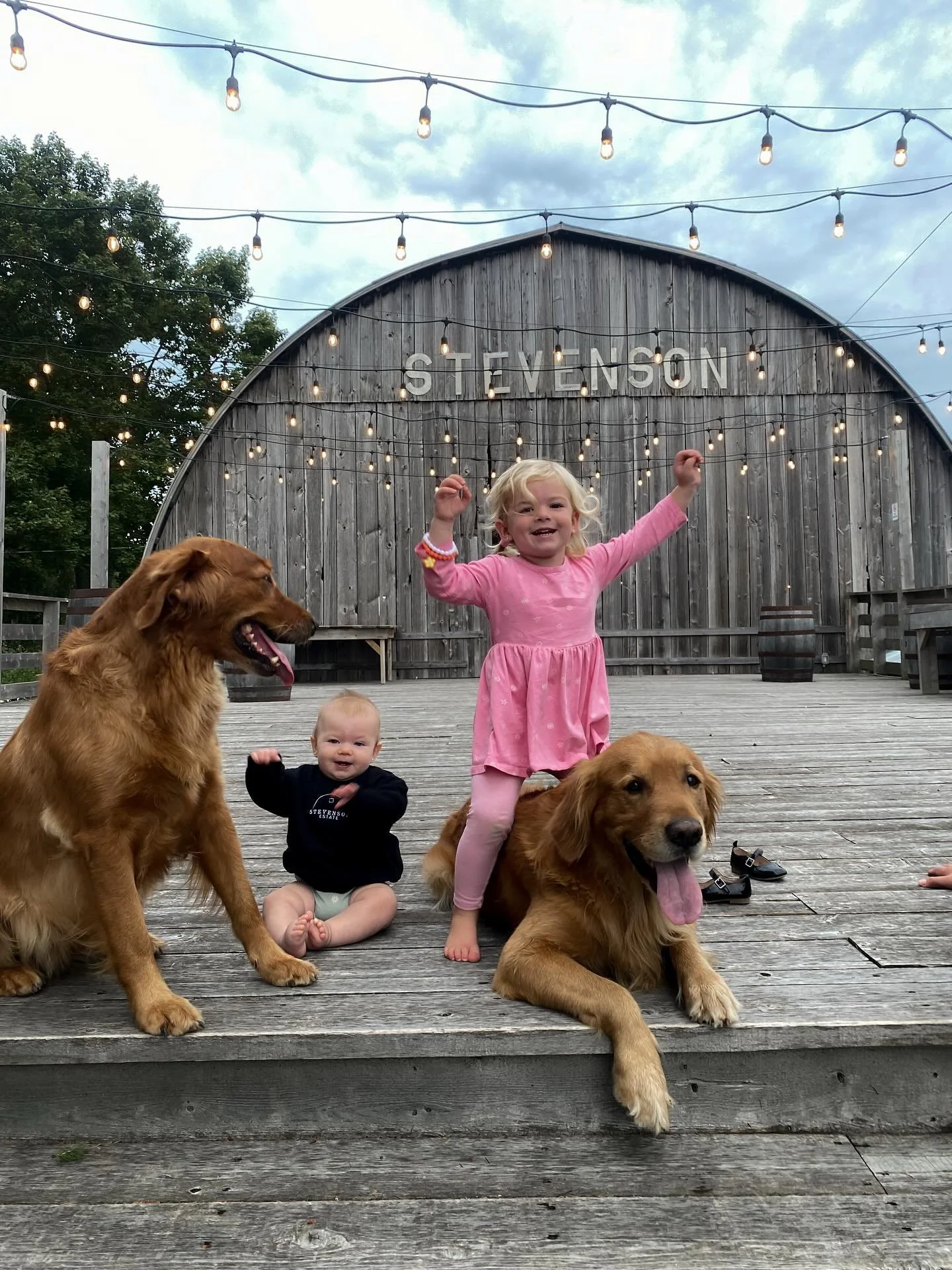 hands up if you&rsquo;re excited for what&rsquo;s coming in 2026!!!!

now touring for 2026 &mdash; there are a few dates left!! message us to book your tour.