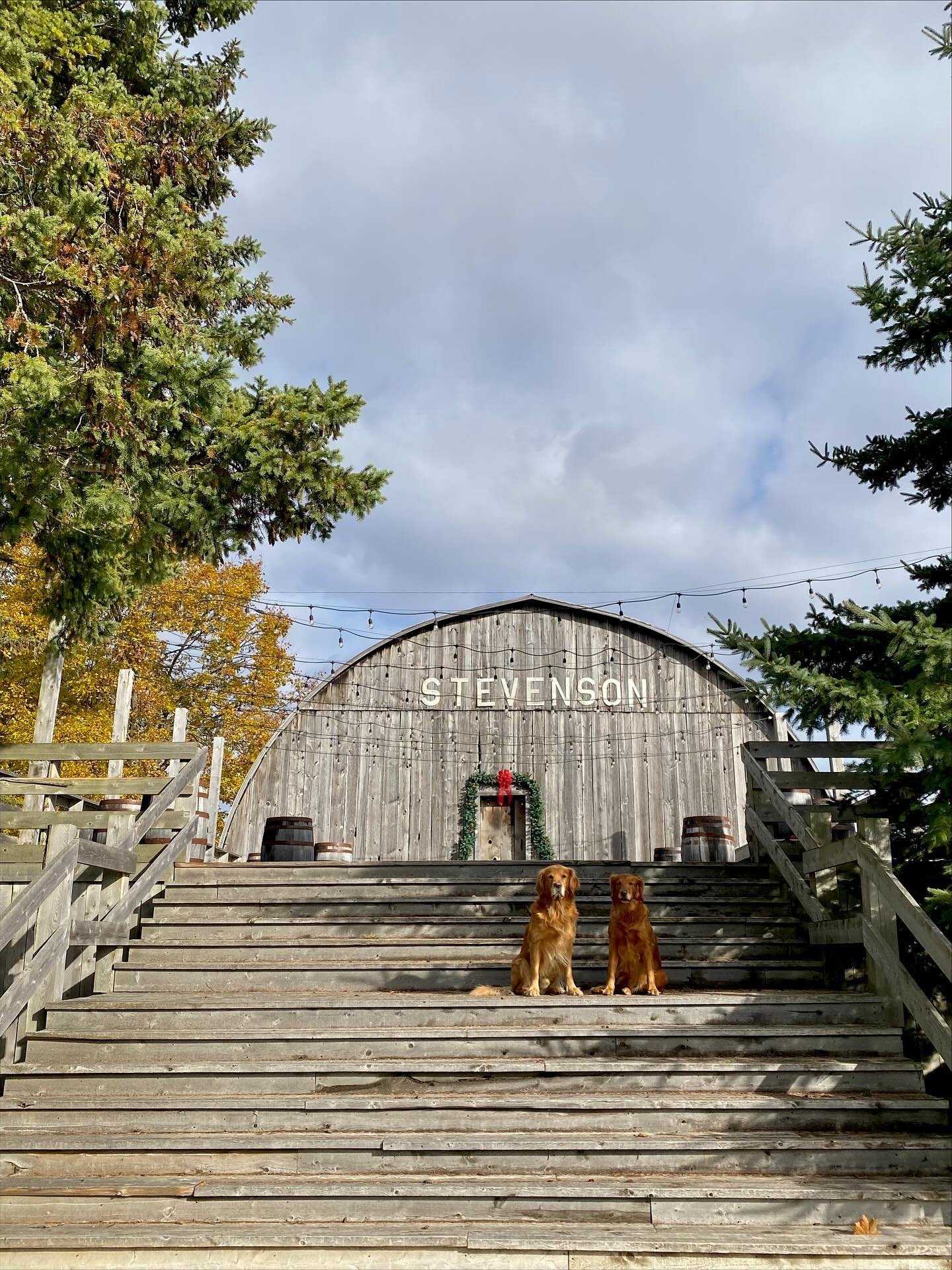 we are looking forward to santa comes to stevenson estate!

a huge thank you to all who registered and are taking part in our second annual christmas charity event! 

&amp; a huge thank you to our collaborating vendors @bennyandthebecks &amp; @canter