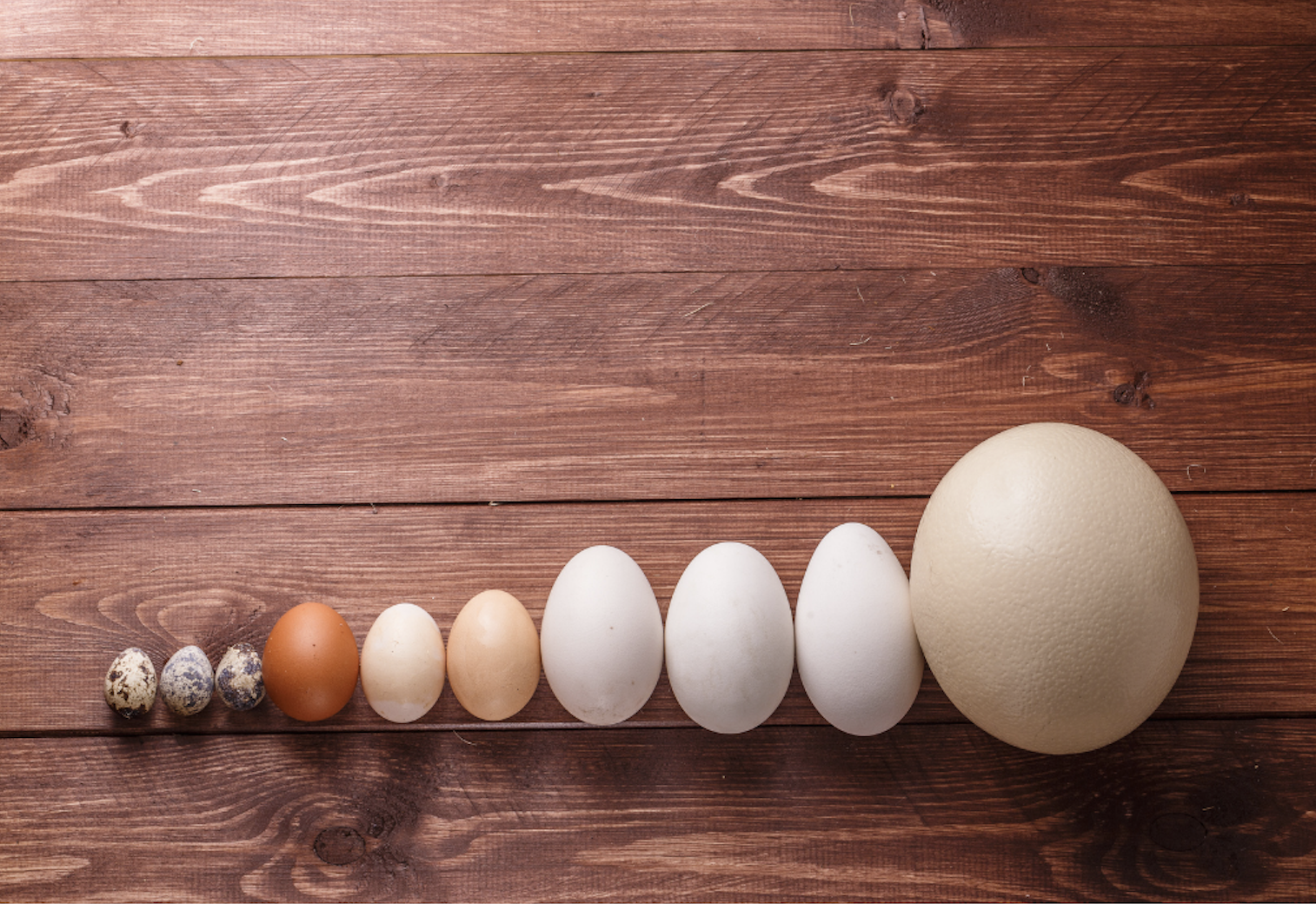 A Calorie is Not a Calorie