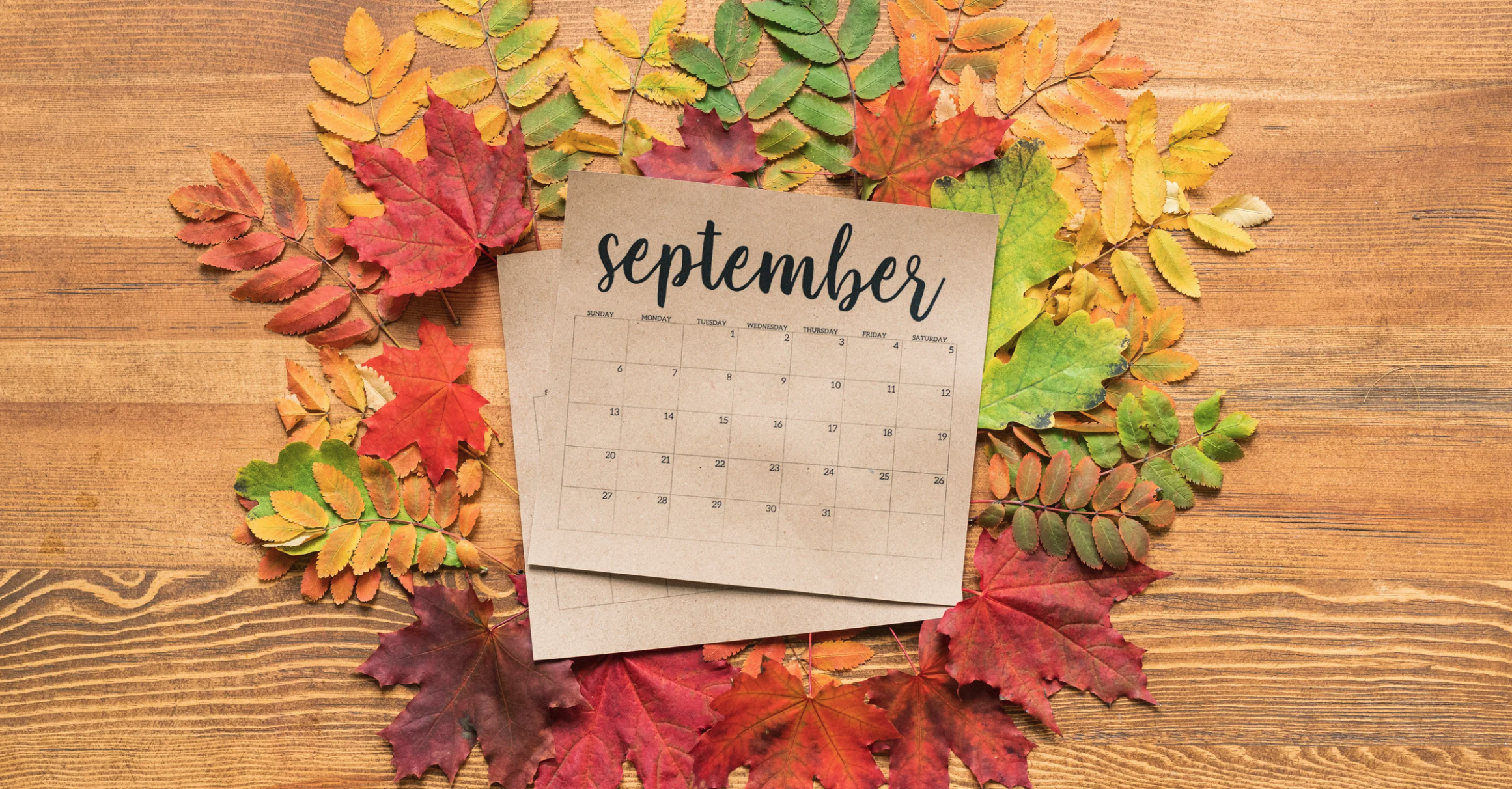 September Happenings at the Ackerman Center