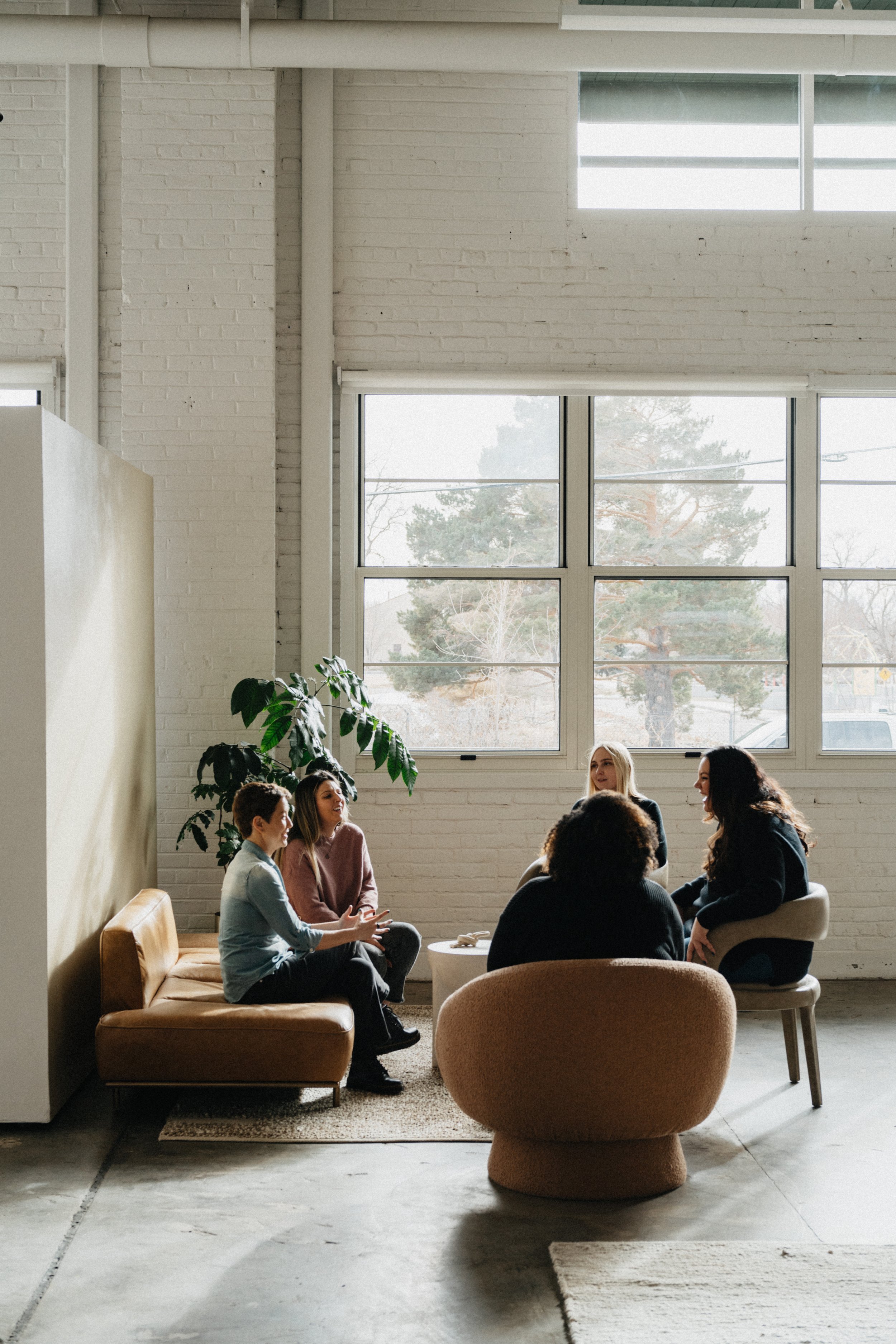 The Sanare Colorado team sit around a coffee table chatting to one another