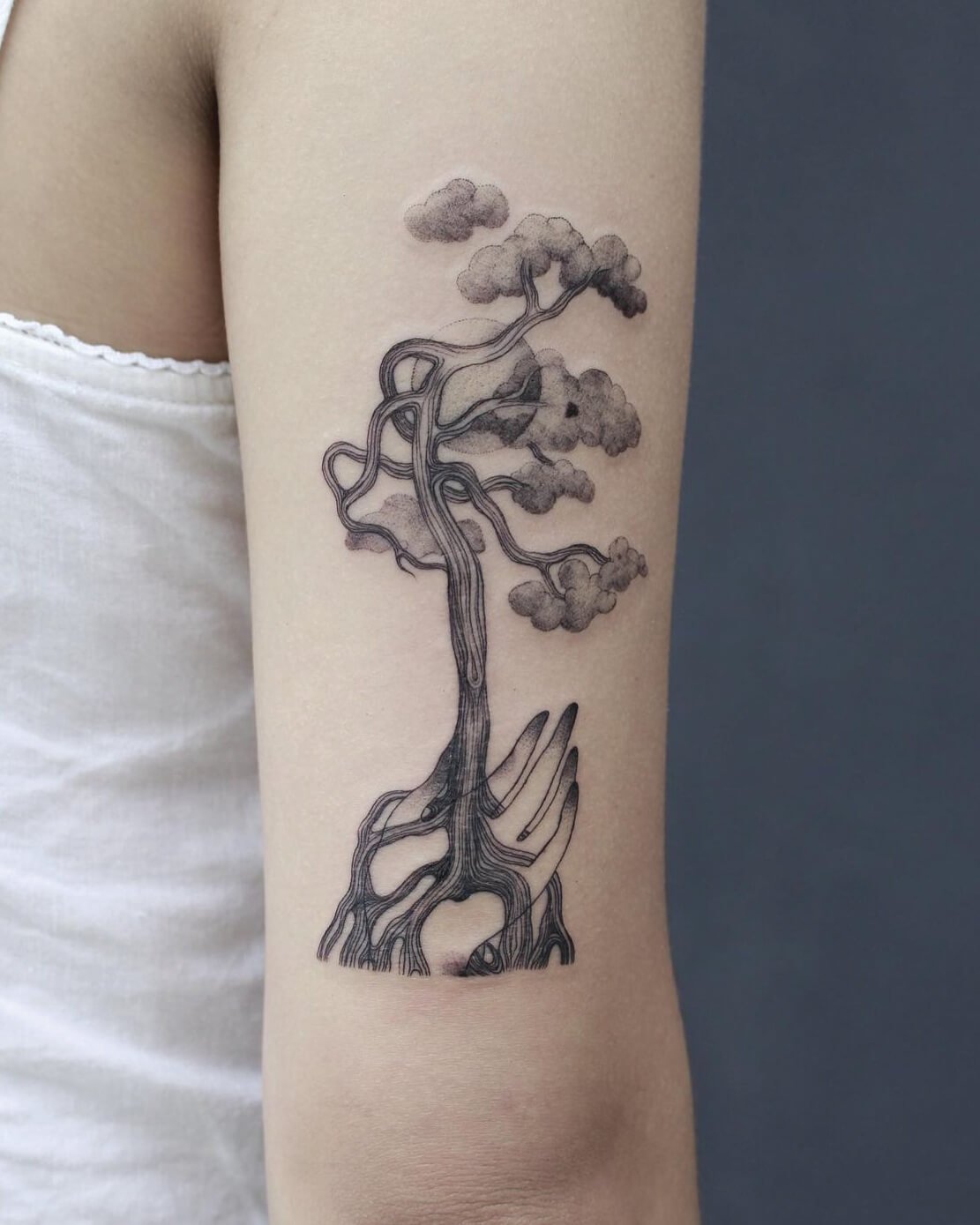 TAT6.jpg