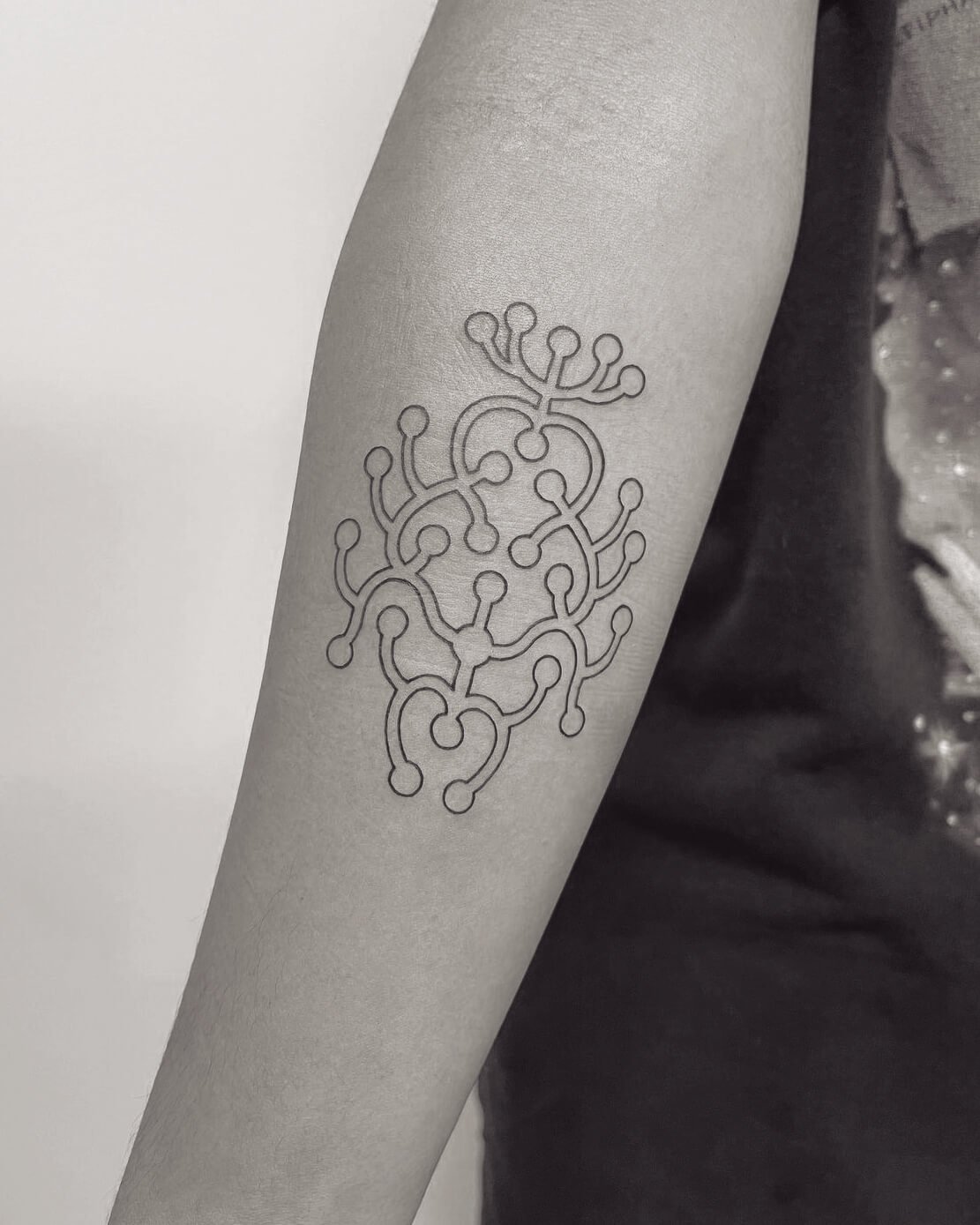 TAT4.jpg