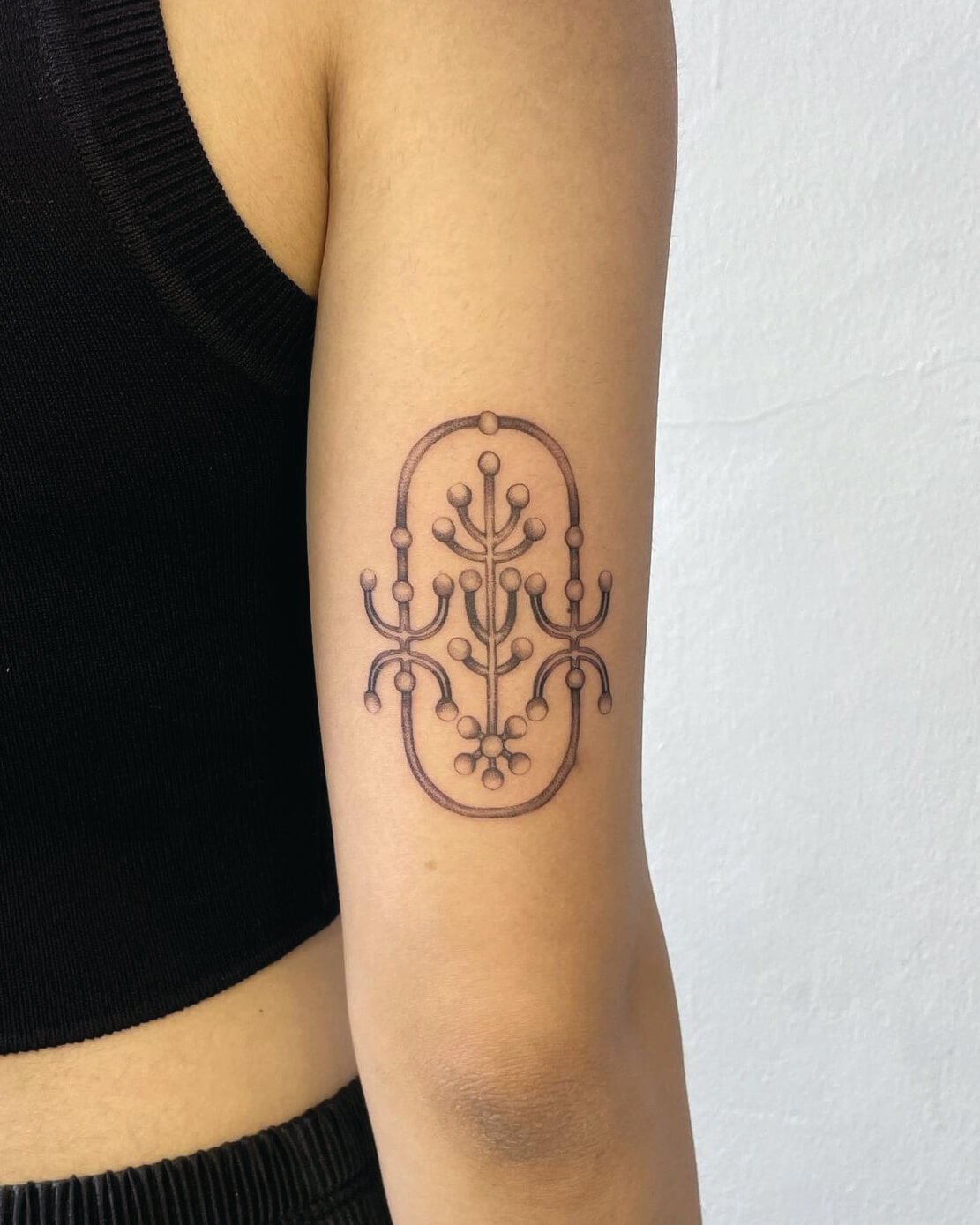 TAT8.jpg