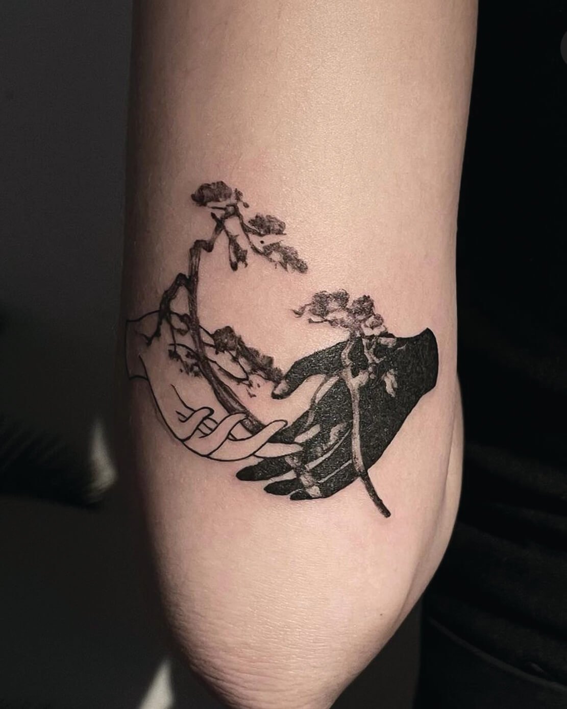 TAT2.jpg