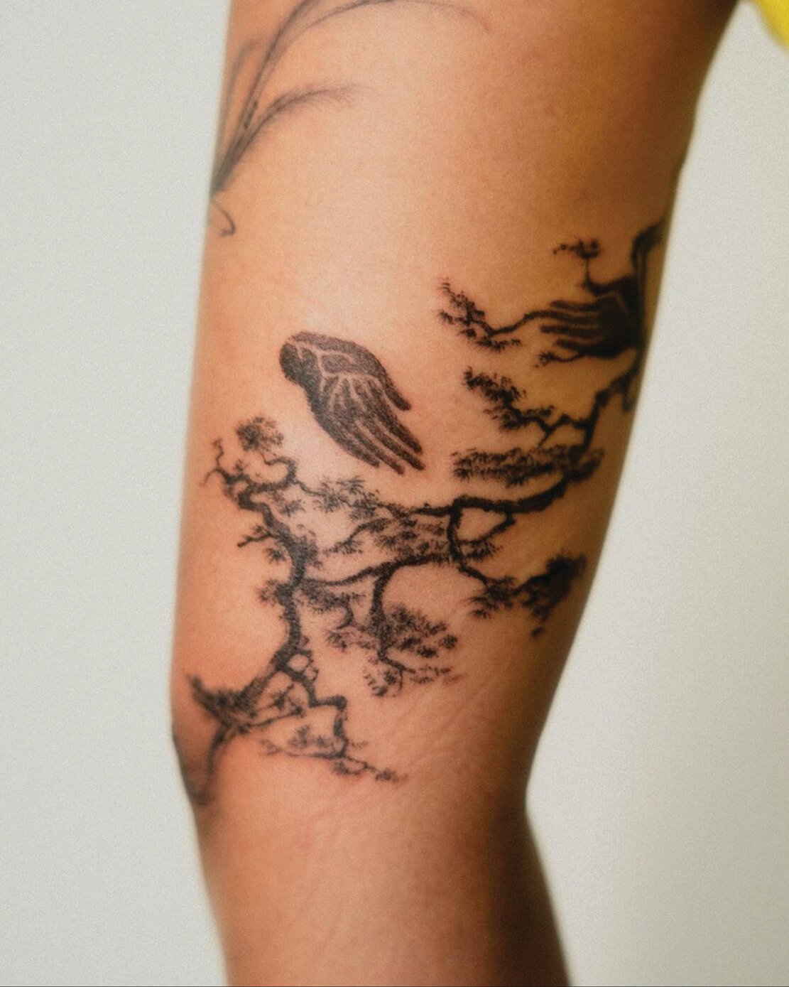 TAT10.jpg