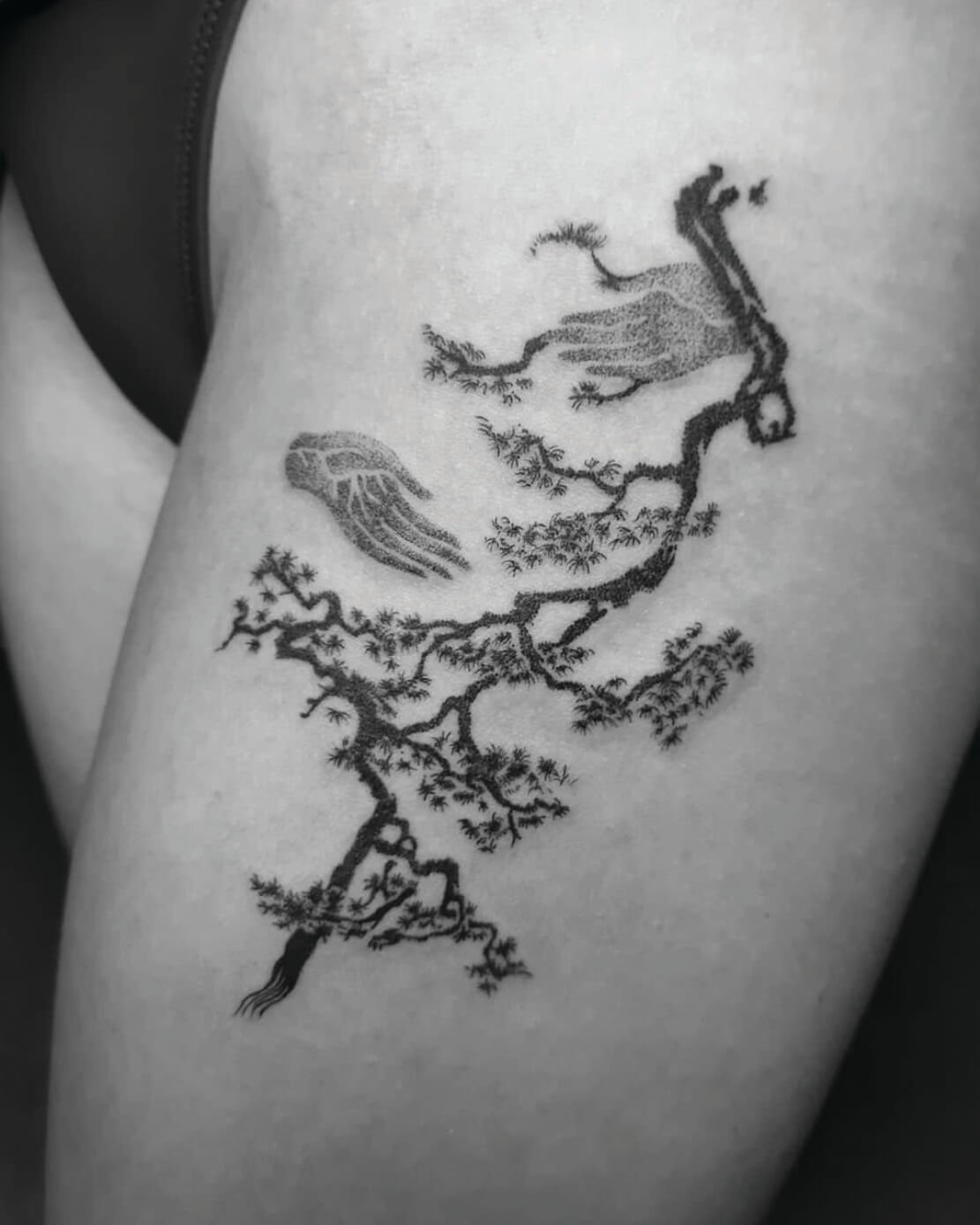 TAT1.jpg
