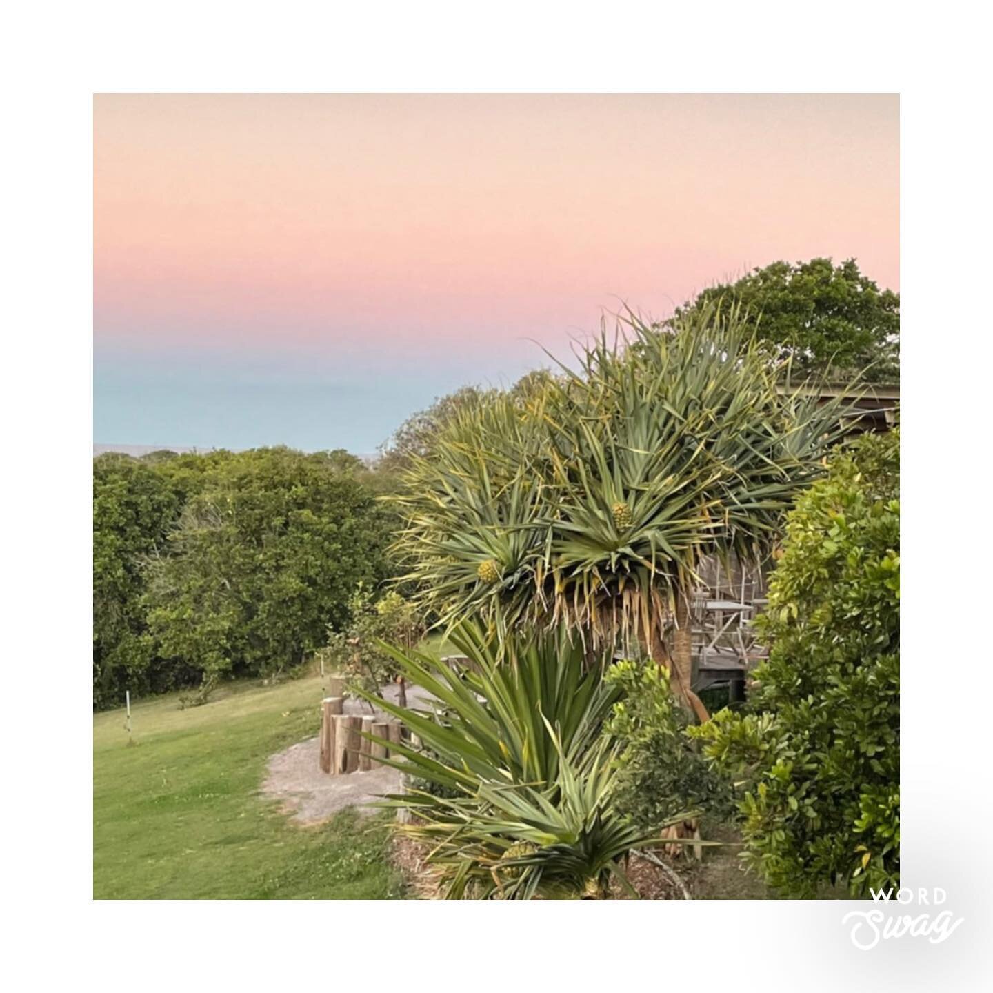 The front lawn of the @delicatenobbyartiststudio at sunset pictured so beautifully by @moonies_crescent_head. #billaroy @crescenthead #crescentheads #delicatenobby #delicatenobbybeach @its_ok_on_the_macleay @macleayvalleycoast @macleayvalleyhub @port