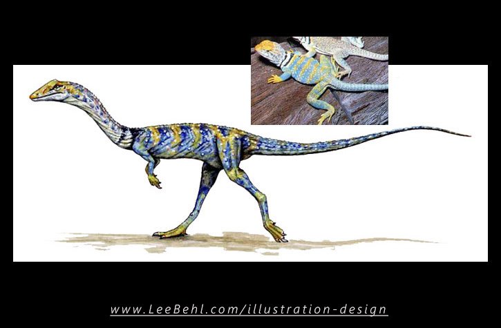 "Elaphrosaurus" *(markings of the Agama Clown Lizard)