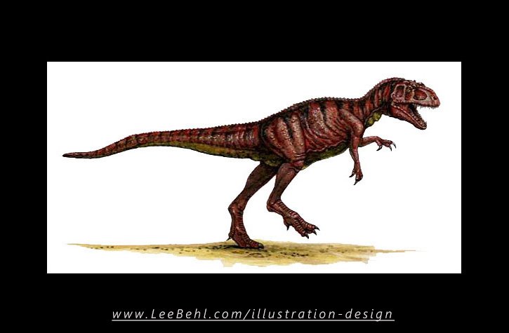 "Gigantosaurus" (red with black stripes-yellow underbelly)