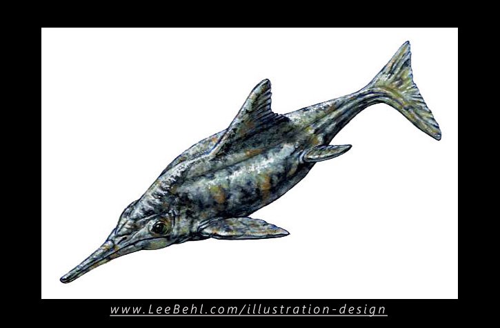 "Opthalmosaurus" (ocean camoflauge markings)