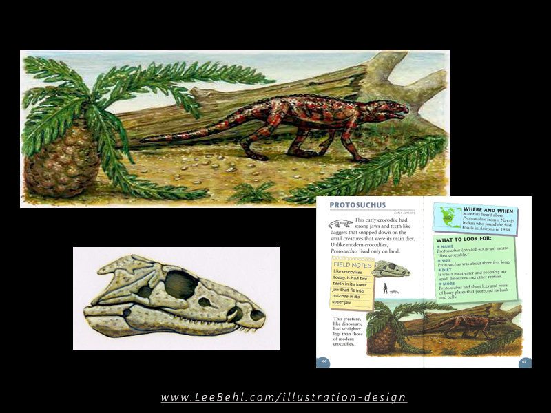 Pages 9 & 10: "Protosuchus"