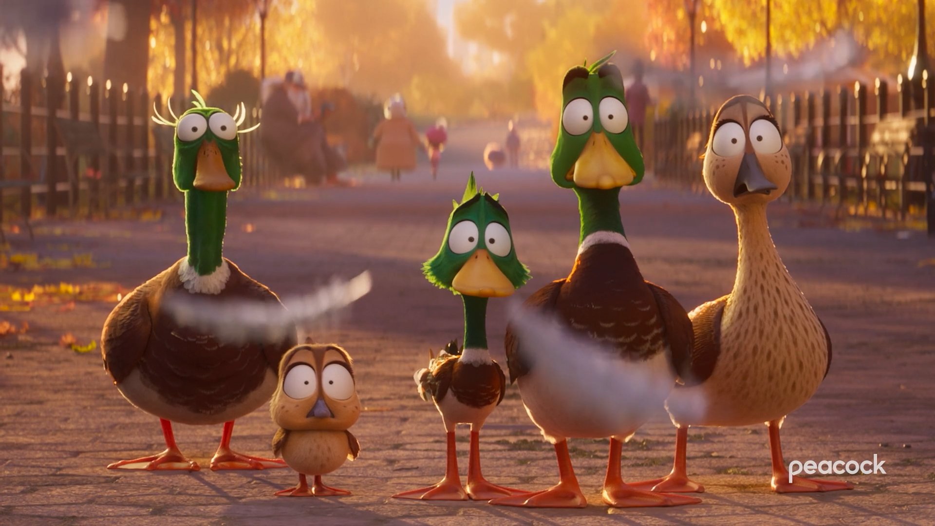 PEACOCK - ILLIMUNTION MOVIES - :30