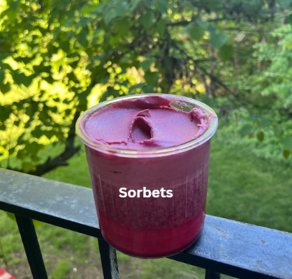 Protein Sorbets