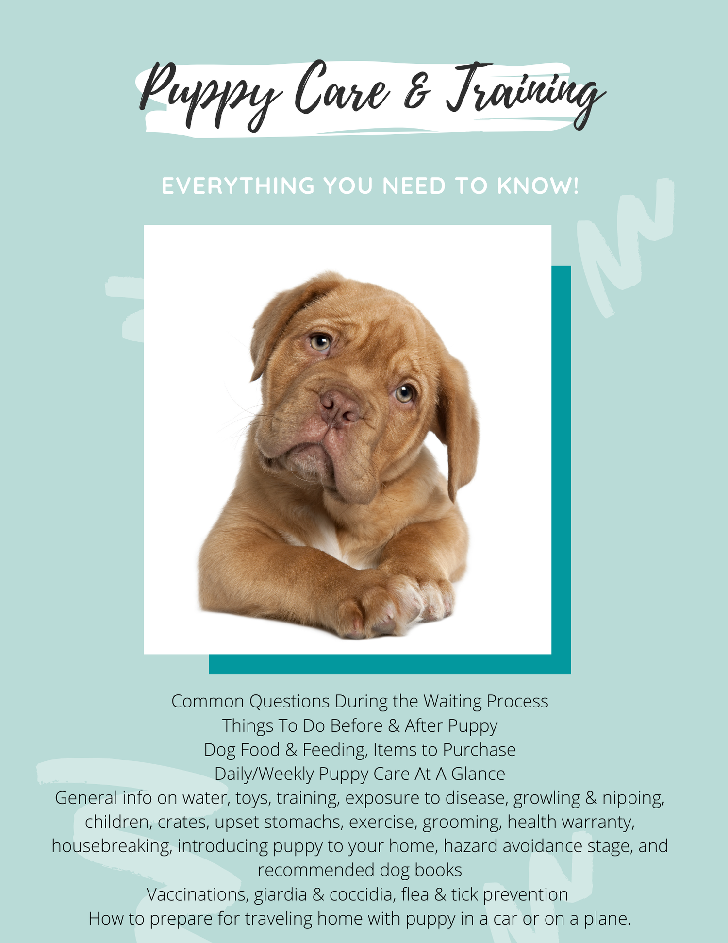 Dog Whisperer Puppy Training Tips: Expert Secrets for Quick Success