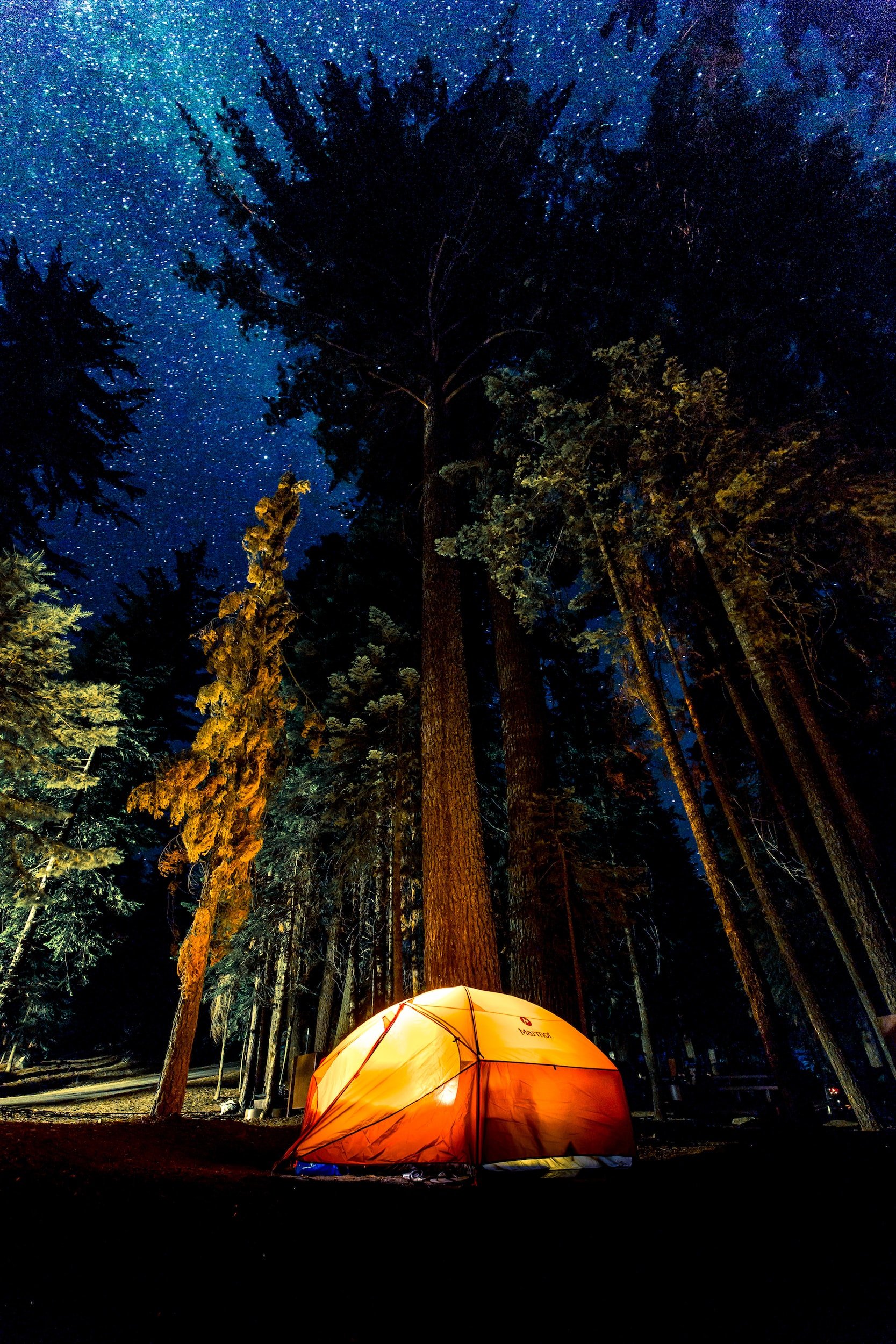 Best Camping Tent Lighting Ideas To Brighten Your Trip