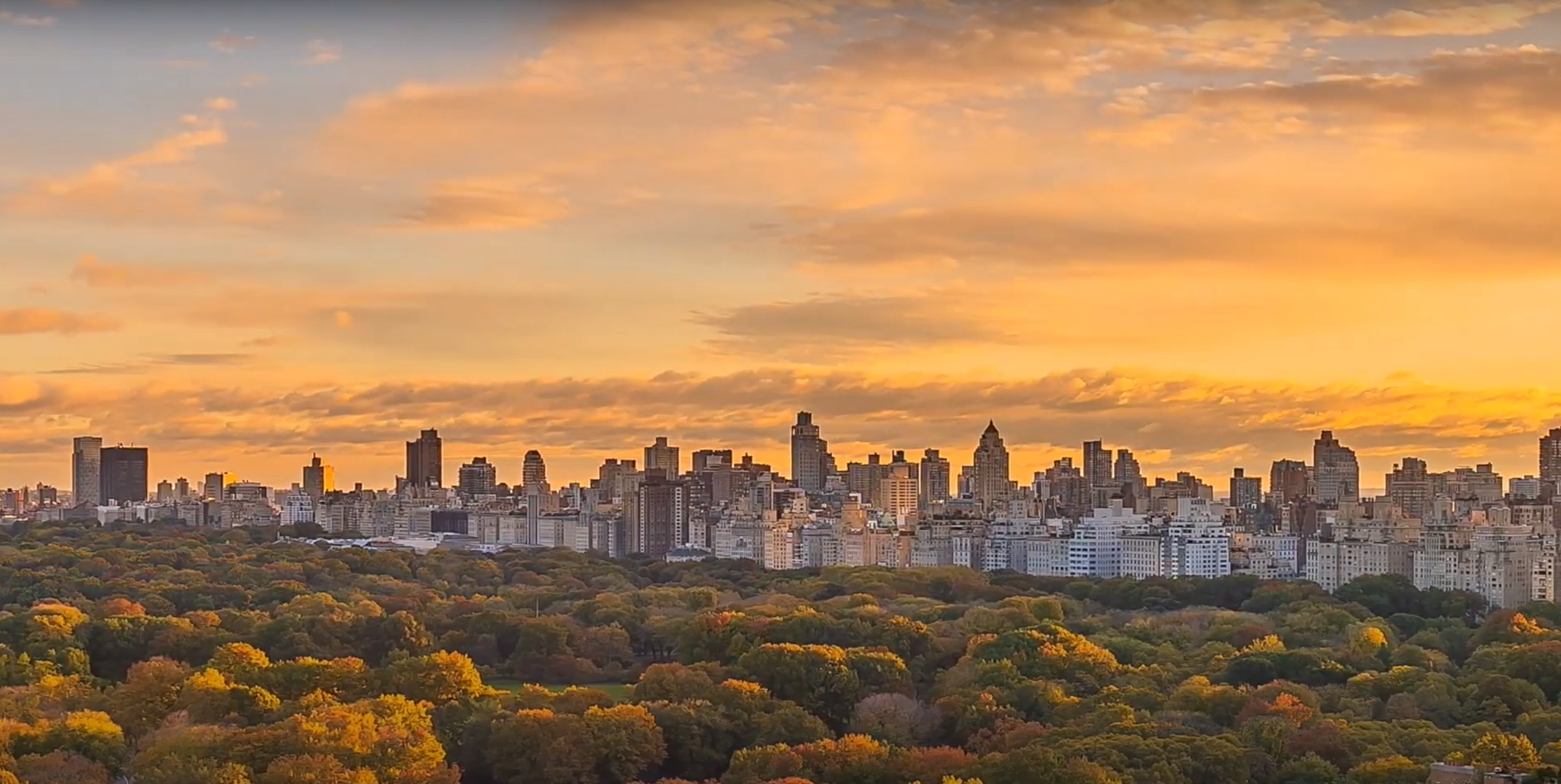 Central Park Background Image.PNG
