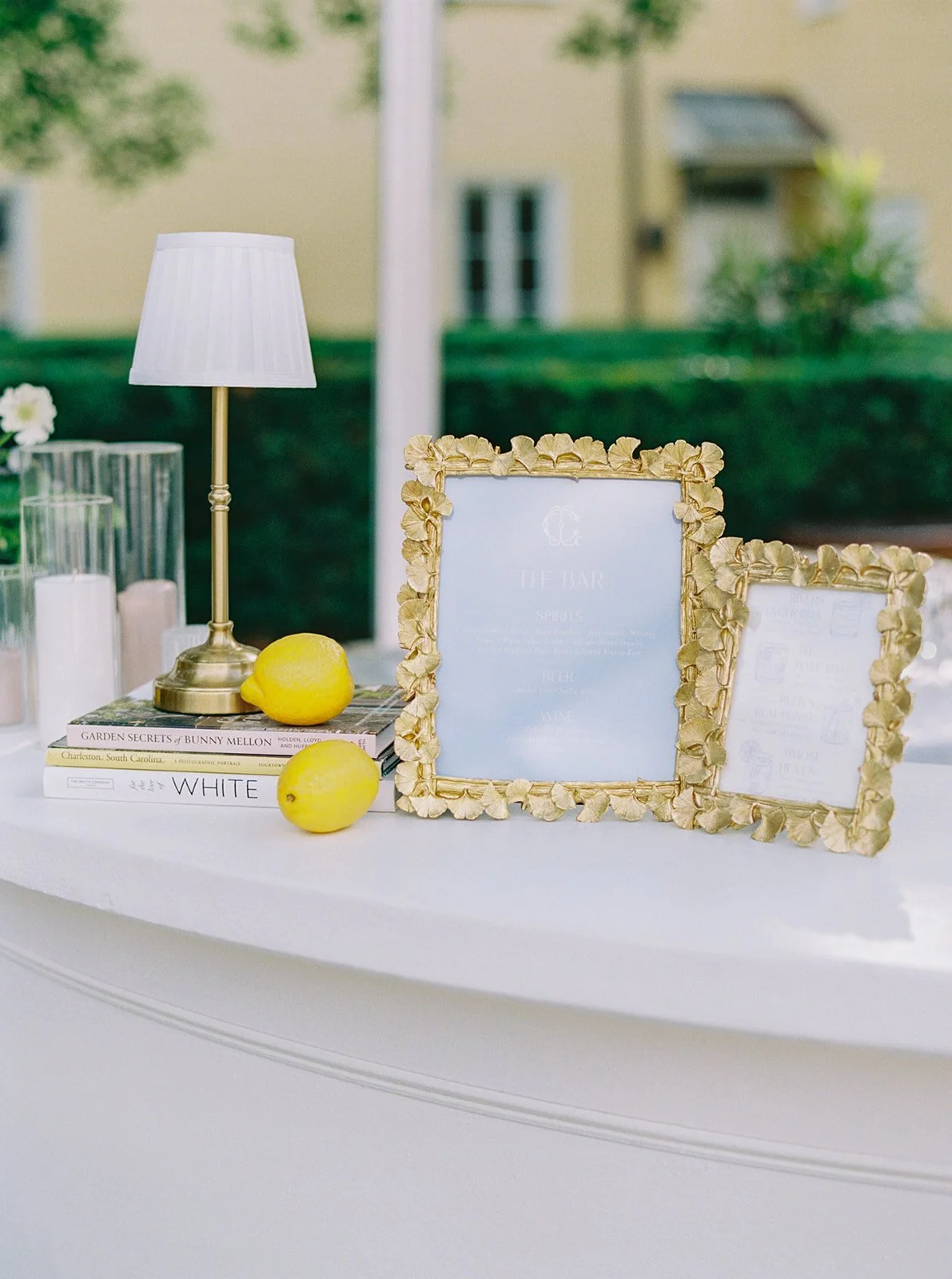 FILM_Douglas_wedding_Kailee_DiMeglio_Photography-108.jpg