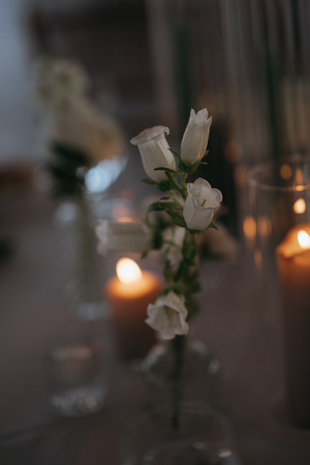 Eleni + Thomas Wedding_1461.jpg