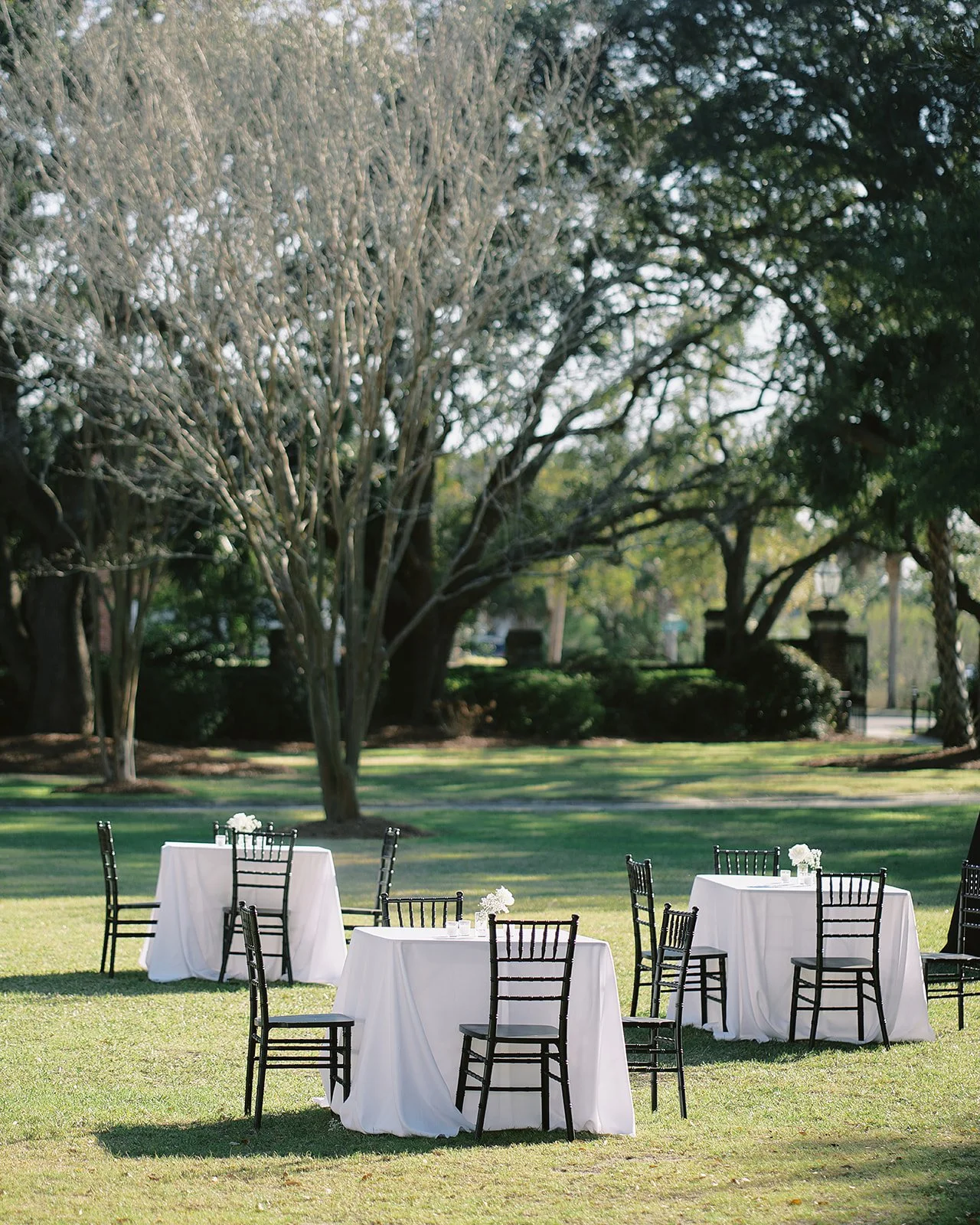 Feb 28 2025 2271.jpg