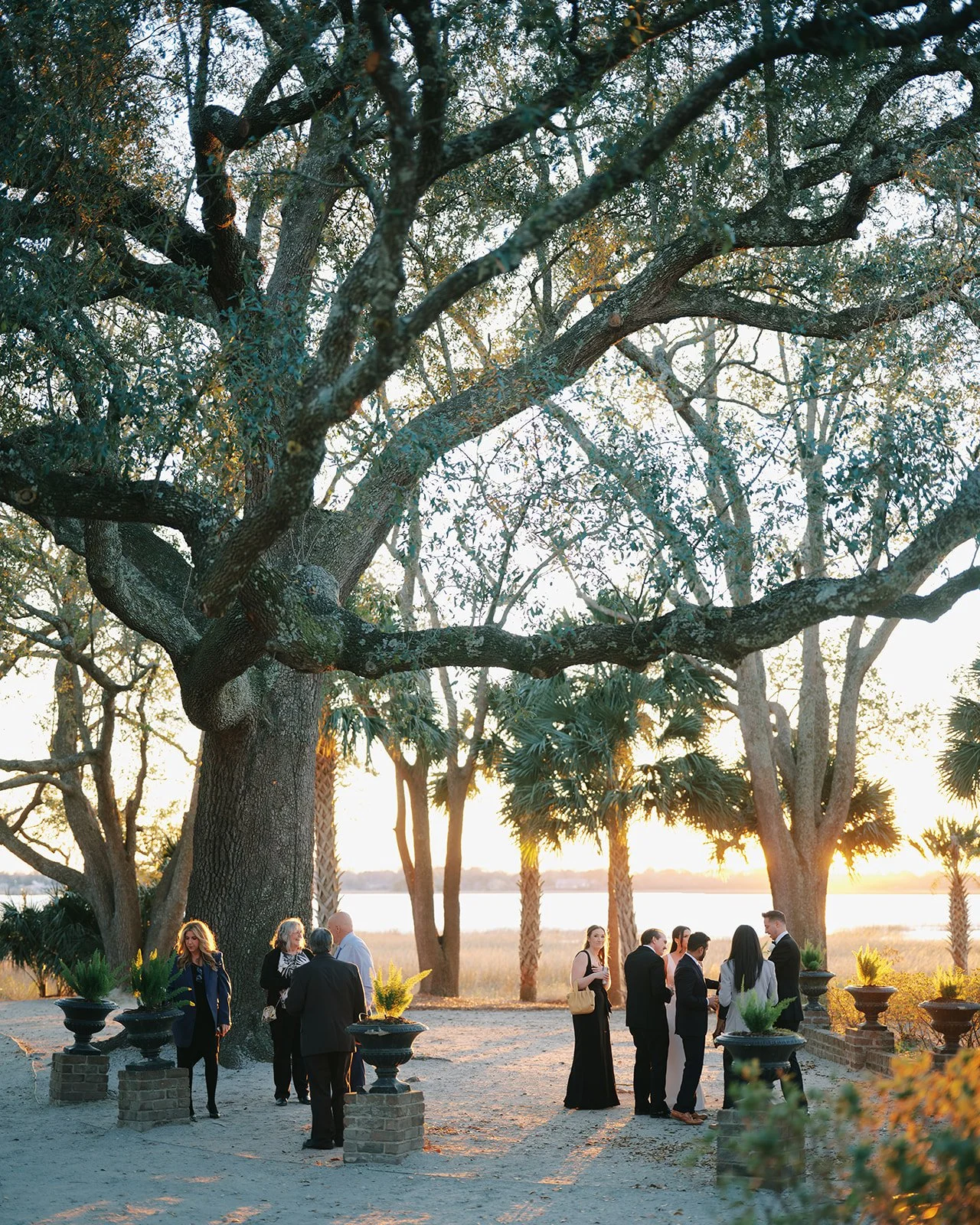 Feb 28 2025 2466.jpg