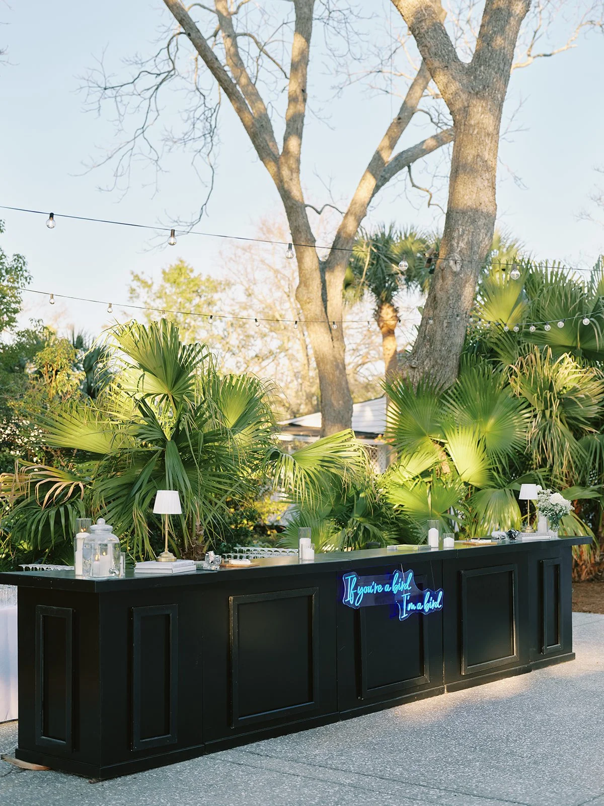 Feb 28 2025 2372.jpg