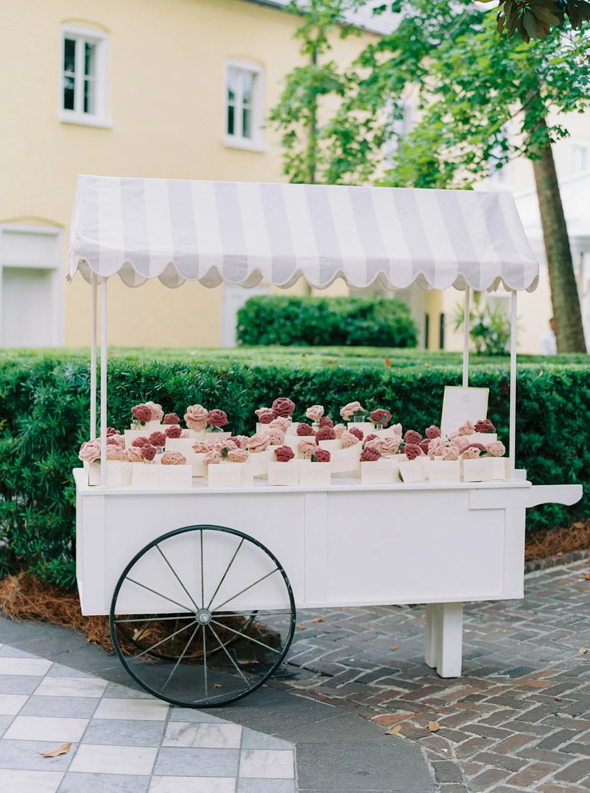 FILM_Douglas_wedding_Kailee_DiMeglio_Photography-101.jpg