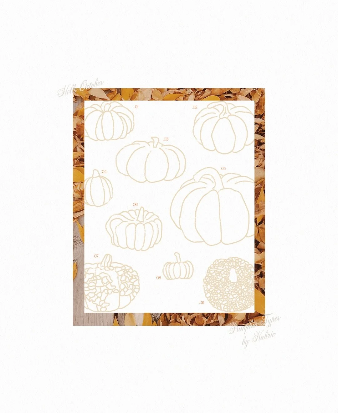 Happy first full week of October 🍂☁️

Things have been busy in my little corner of the world, working with the best people on the most exciting brands and websites! Here are some little bits of inspiration I&rsquo;ve been collecting as the seasons c