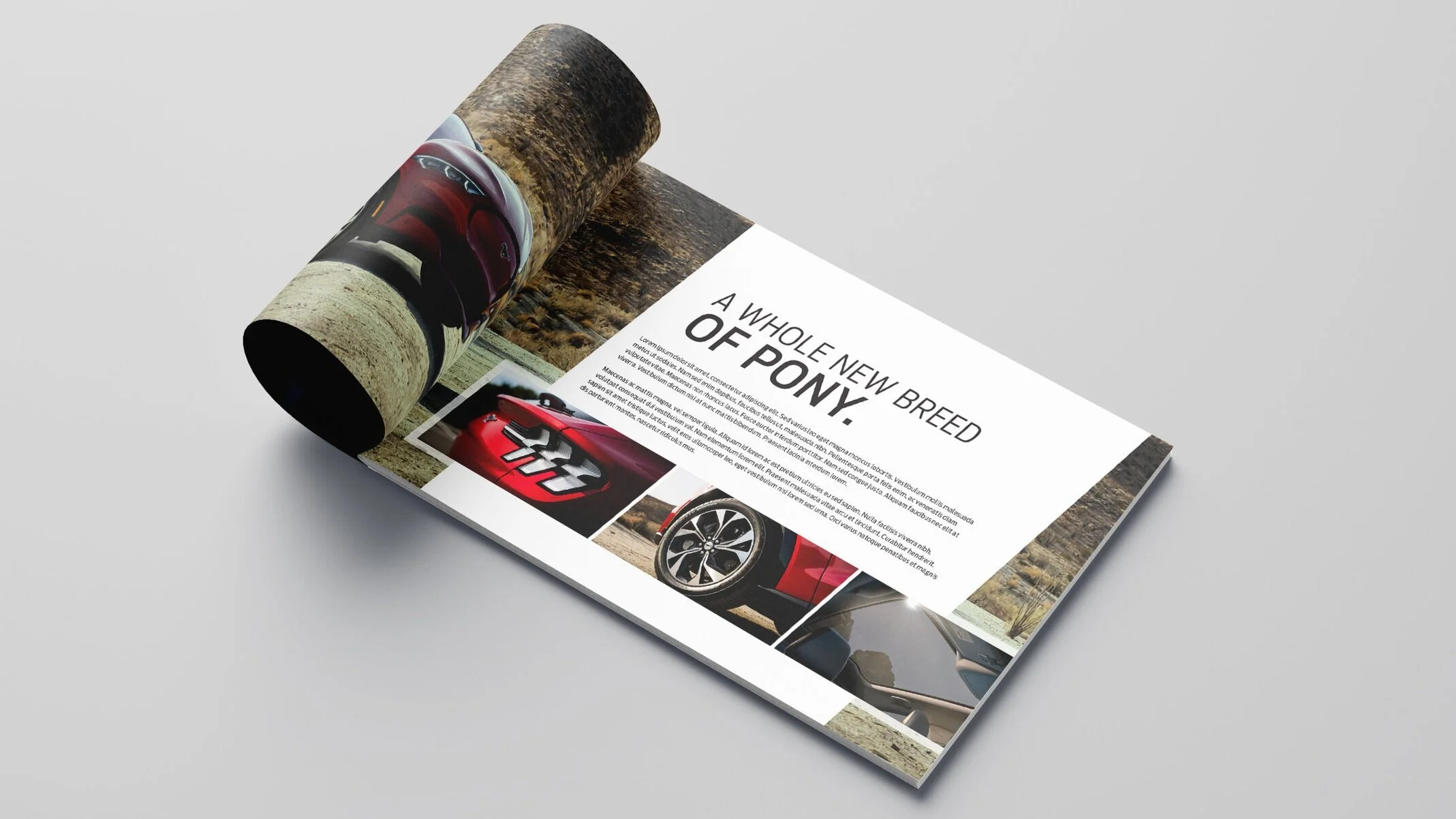 Latcha+Associates / 2021 / 2022 Model Year Ford Catalogs / Creative Direction, Art Direction