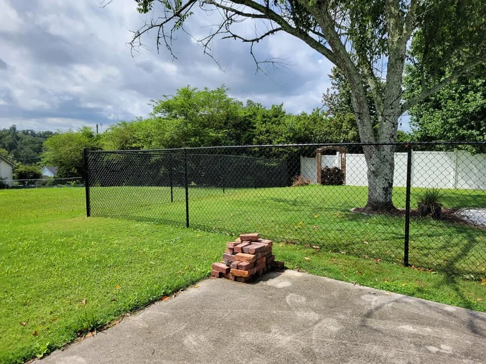 Weigley fencing 7.jpg