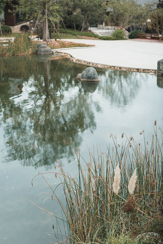 121dQyP10GR_appview.jpg