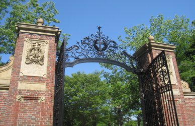 Are There “Secret Strategies” to Gain College Admission?