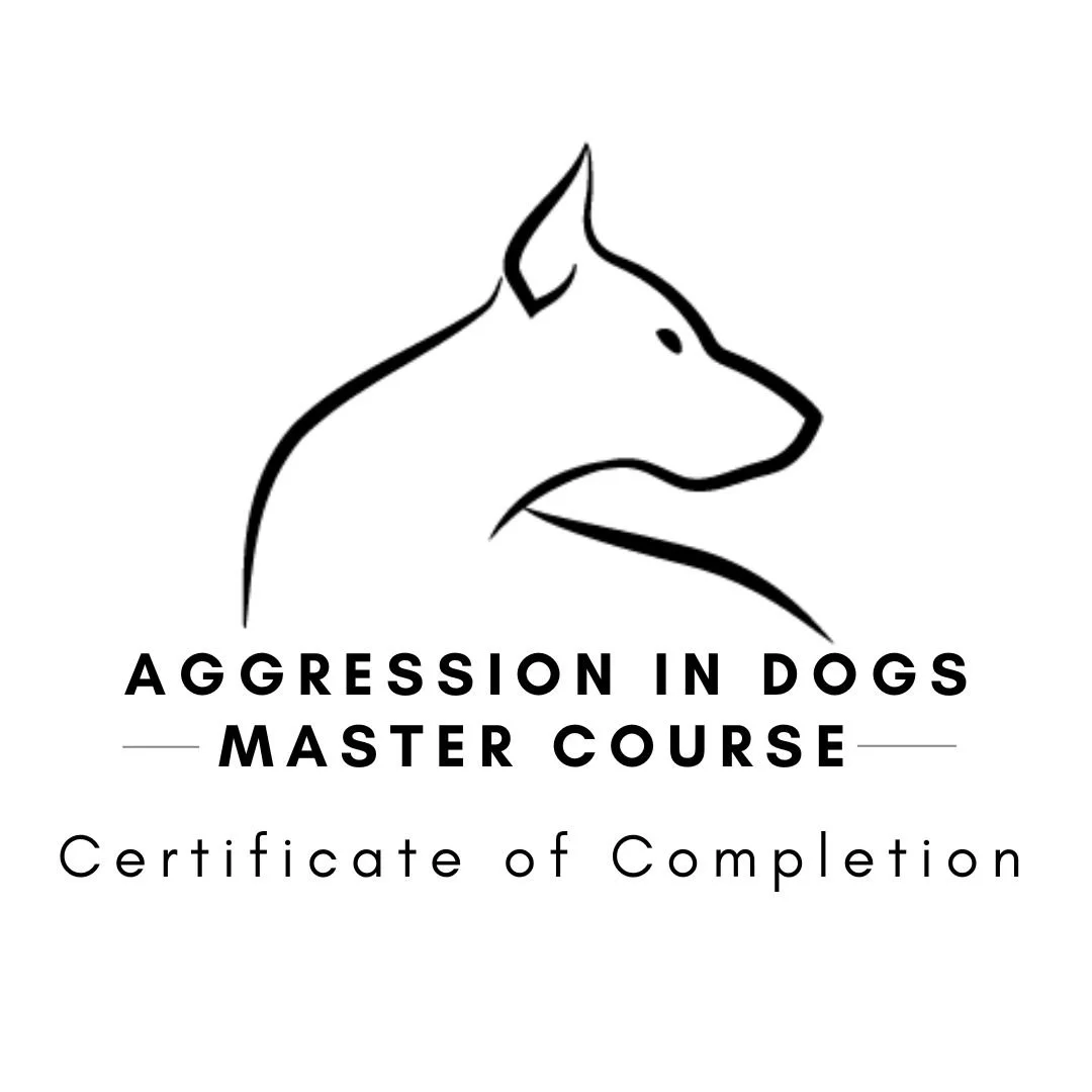 Logo for Aggression in Dogs Master Course with a minimalist line drawing of a dog's head and text that says 'Certificate of Completion'.