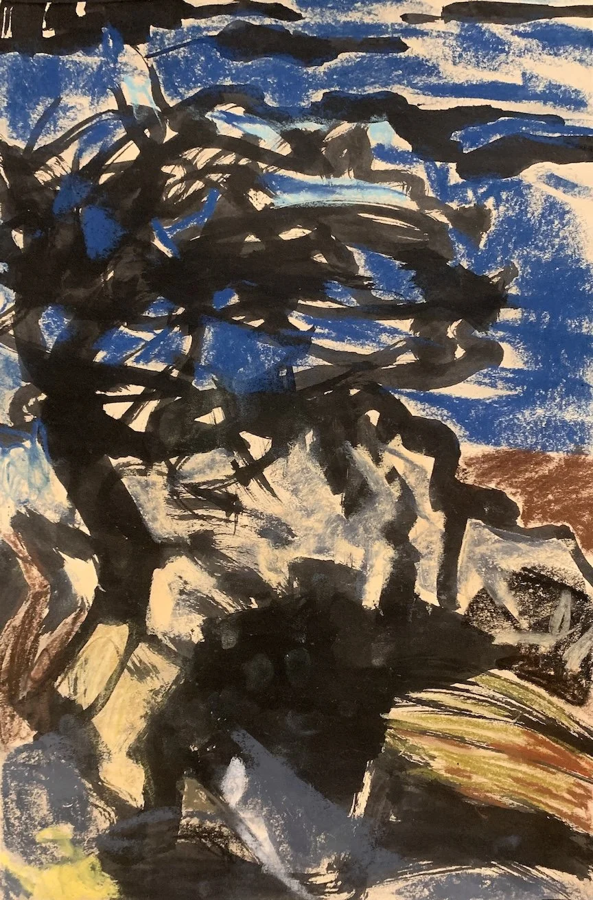 Schoodic Peninsula Study 1