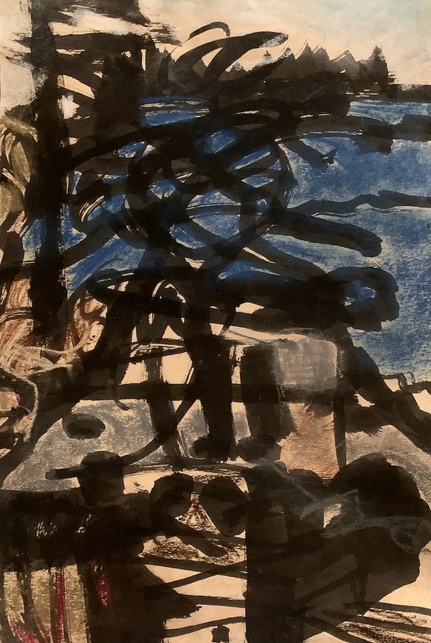 Schoodic Peninsula Study 2