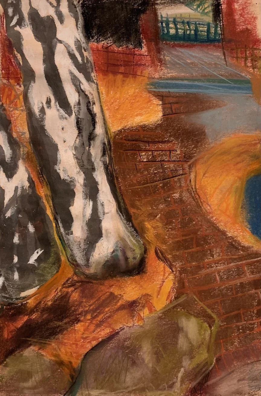  pastel  18 × 12”  2024 