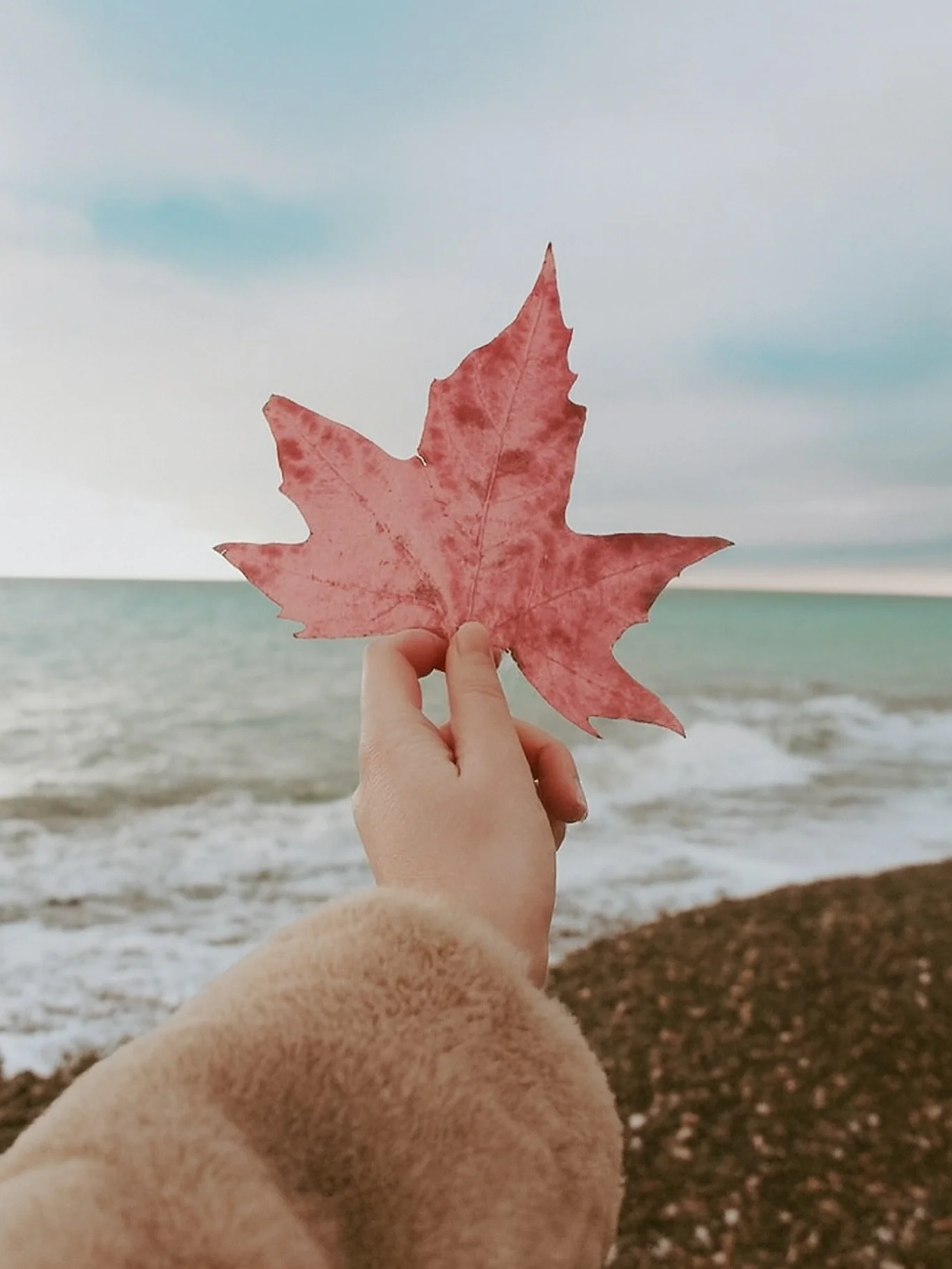 Who says the beach is just for summer? 
Fall at Winnipeg Beach is a whole new vibe. Crisp air, soft light, and The Rosé Beach House waiting to wrap you up in its charm. Escape the ordinary, book your stay with us now! 
🫶🏼🍁✨🩷
#WinnipegBea