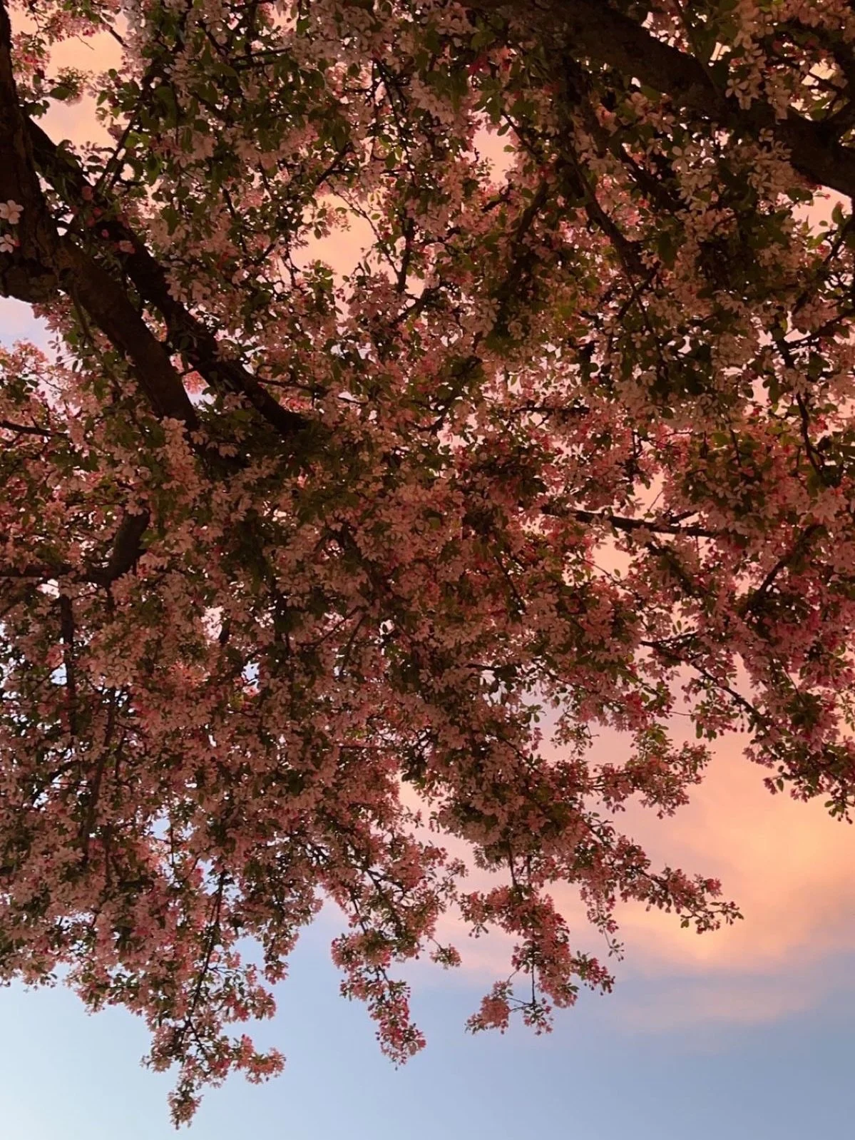 Fall at the beach? 🍂 Consider it our little love affair. Golden leaves, quiet waves, and cozy nights at The Rosé. Ready for your weekend romance with autumn? 🧡 
Book your stay now by tapping the link in our bio ✨🫶
#StayRosé #FallAt