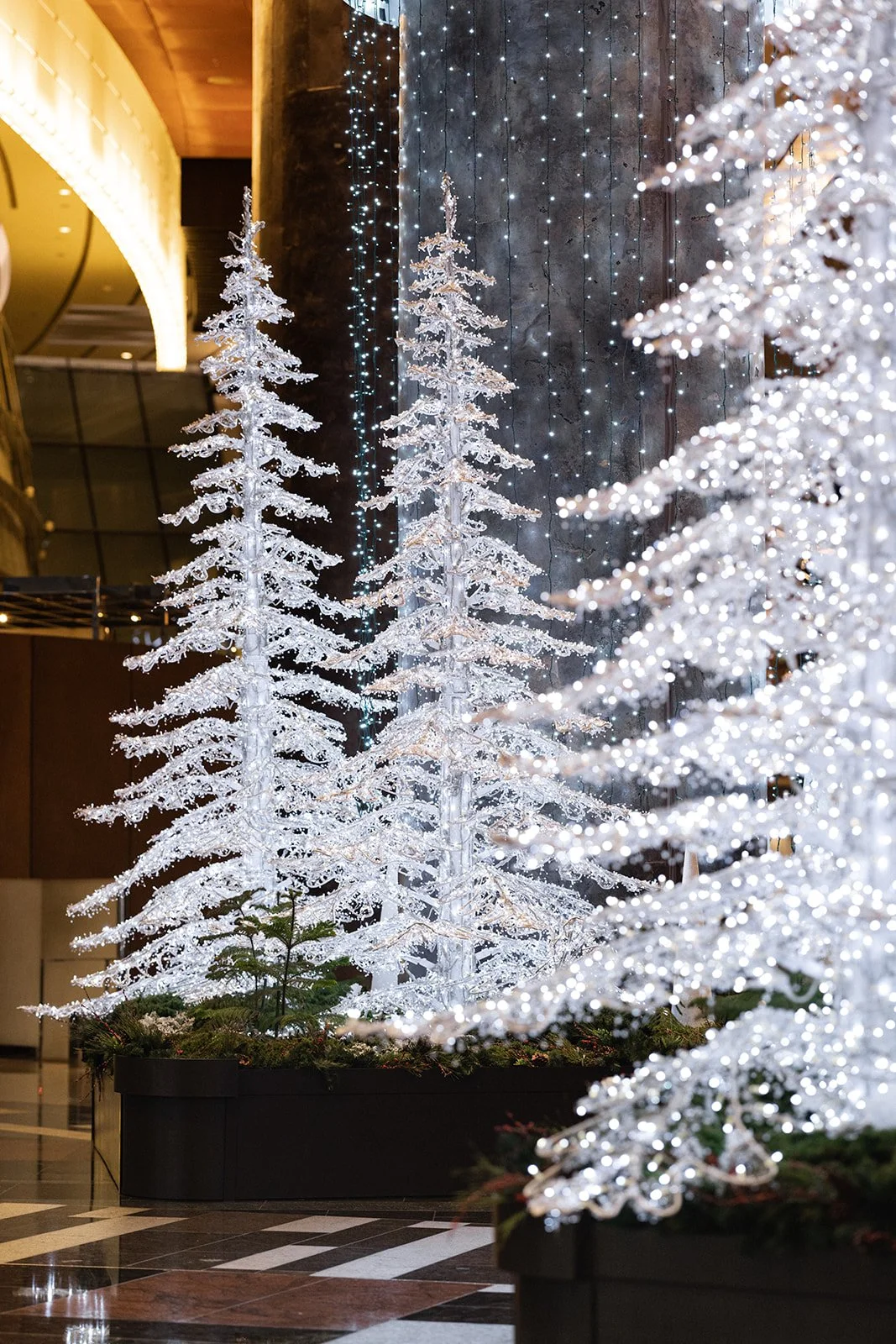 1S0A8791.jpg