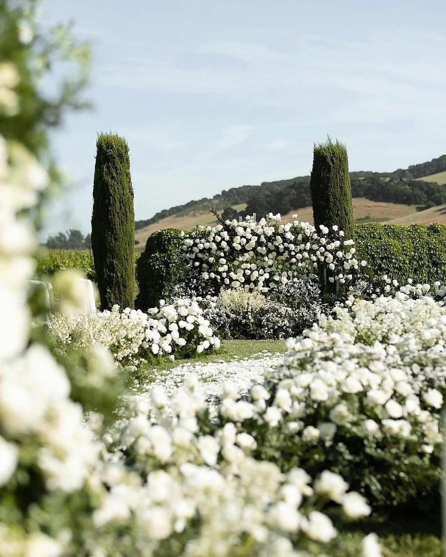 Swipe 👉🏻 to see me officiate this gorgeous wedding in Napa&rsquo;s wine country!

We say &ldquo;I do&rdquo; in the hills of Napa Valley, where ceremony dreams come true! ✨I cannot wait to be back in Napa&hellip;Truly a magical place!

Northern Cali
