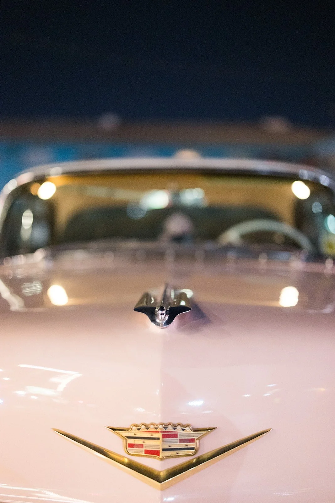 Las Vegas Wedding Planner-IzziLukeNHP-212.jpg