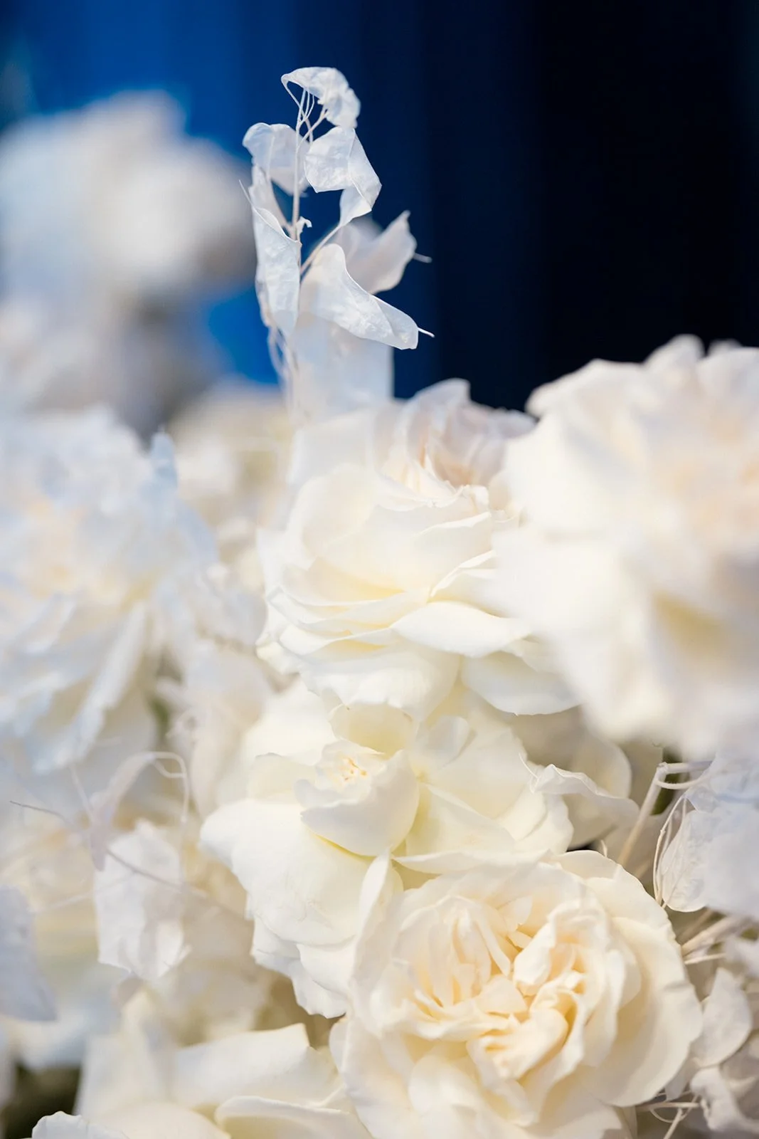 Destination Wedding Planner_Floral Demo_84A5672.jpg